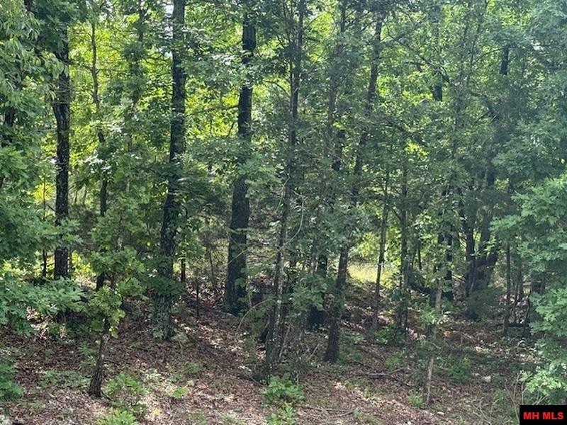 1674 ECHOWOOD CIRCLE Viola, AR 72583