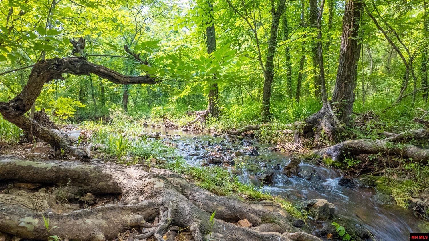 2048 CR 27 Mountain Home, AR 72653