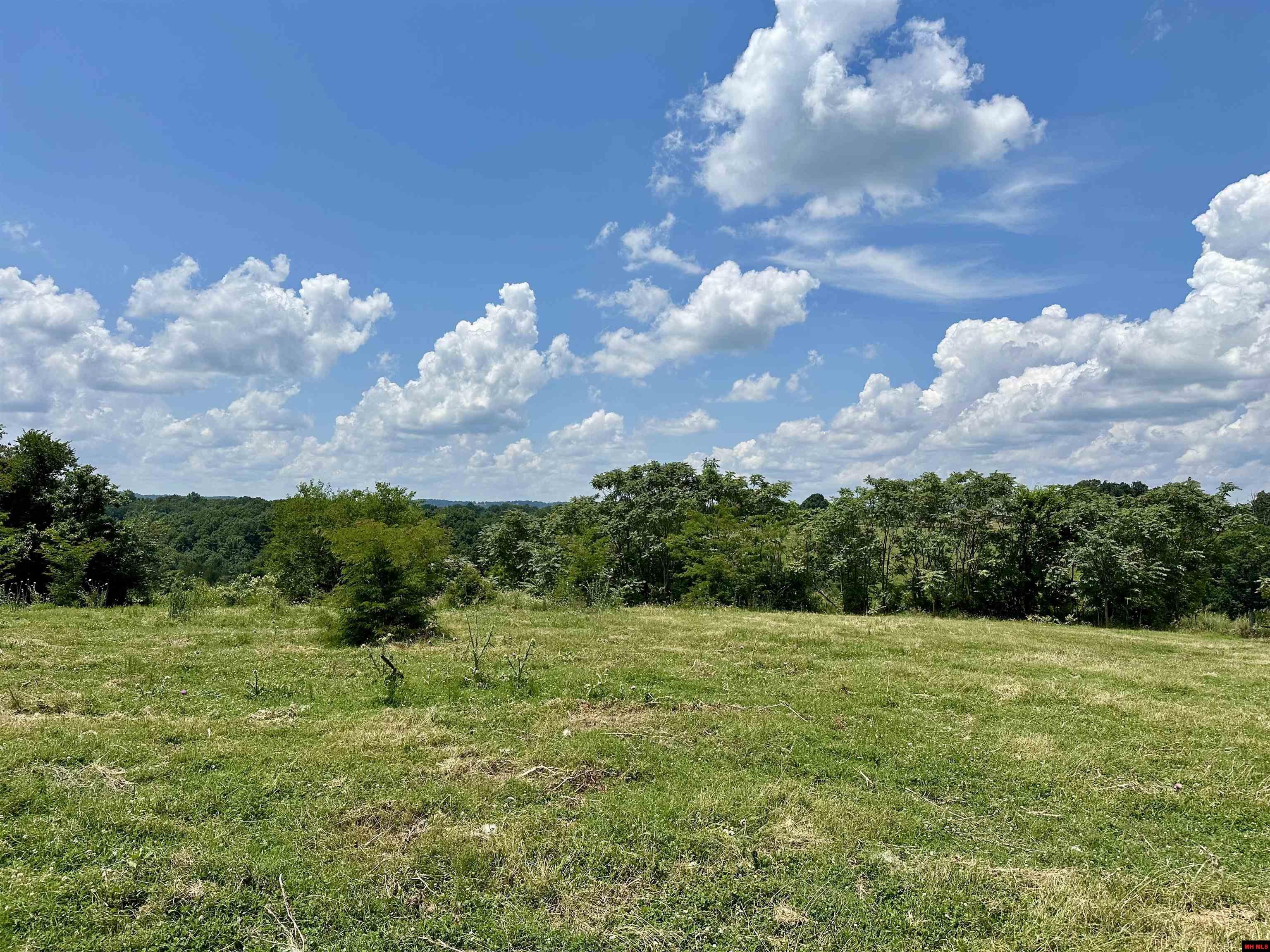 001-09863-001 Mc 8036