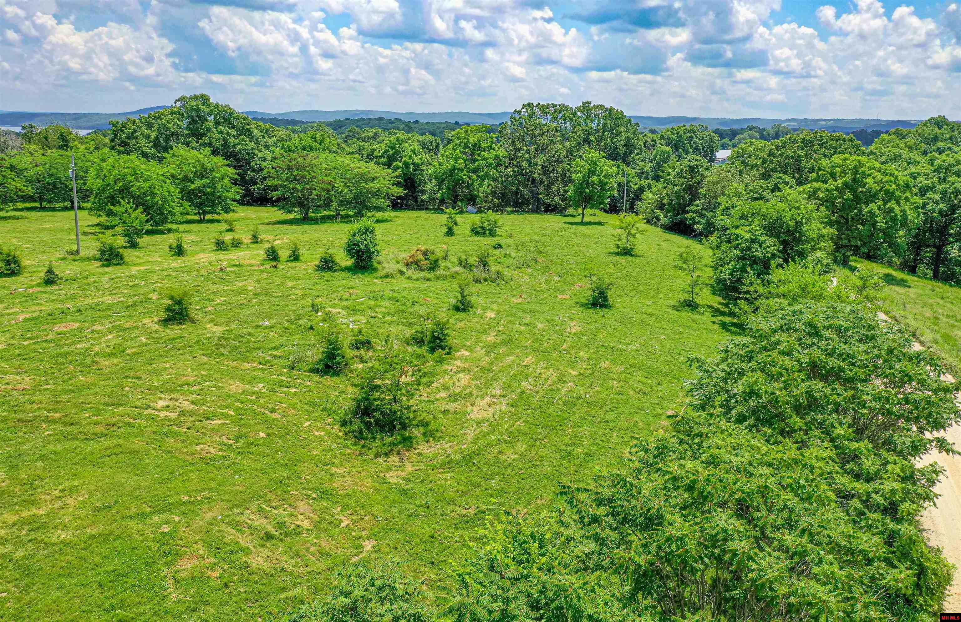 001-09863-001 Mc 8036