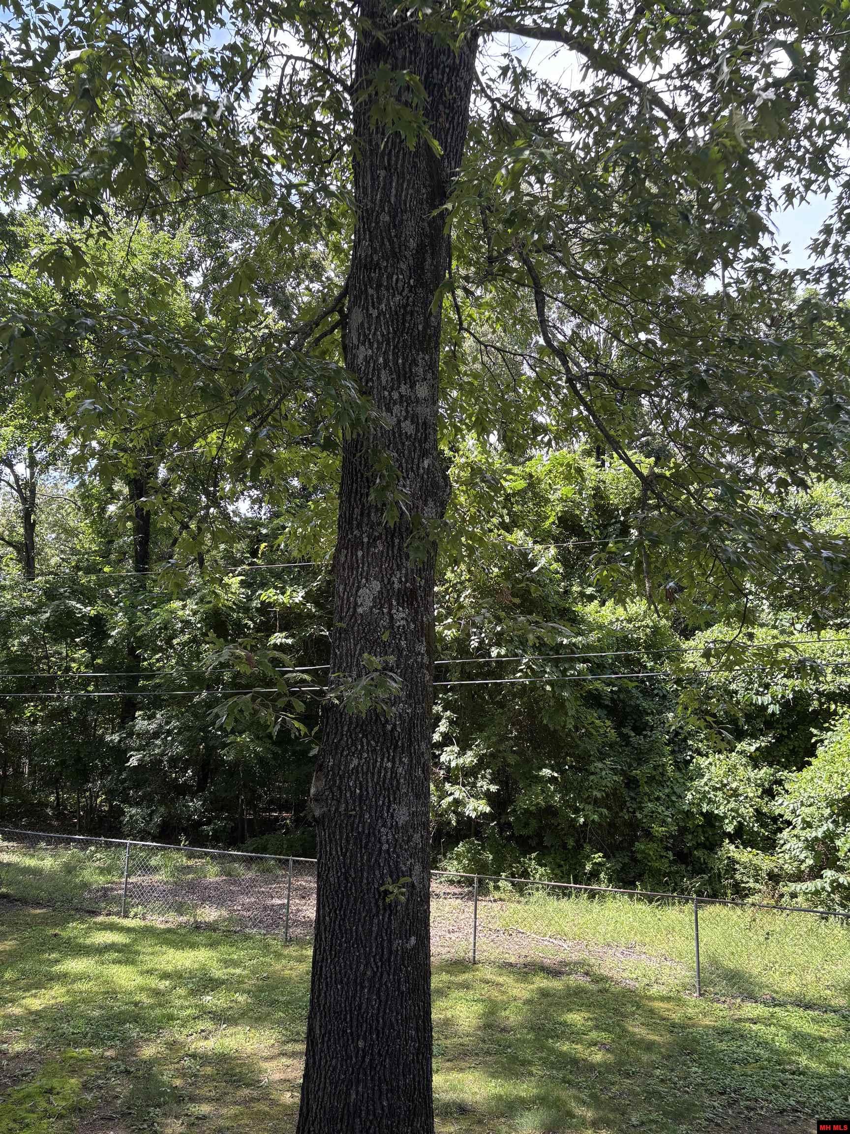 700 BIRDSONG AVENUE Gassville, AR