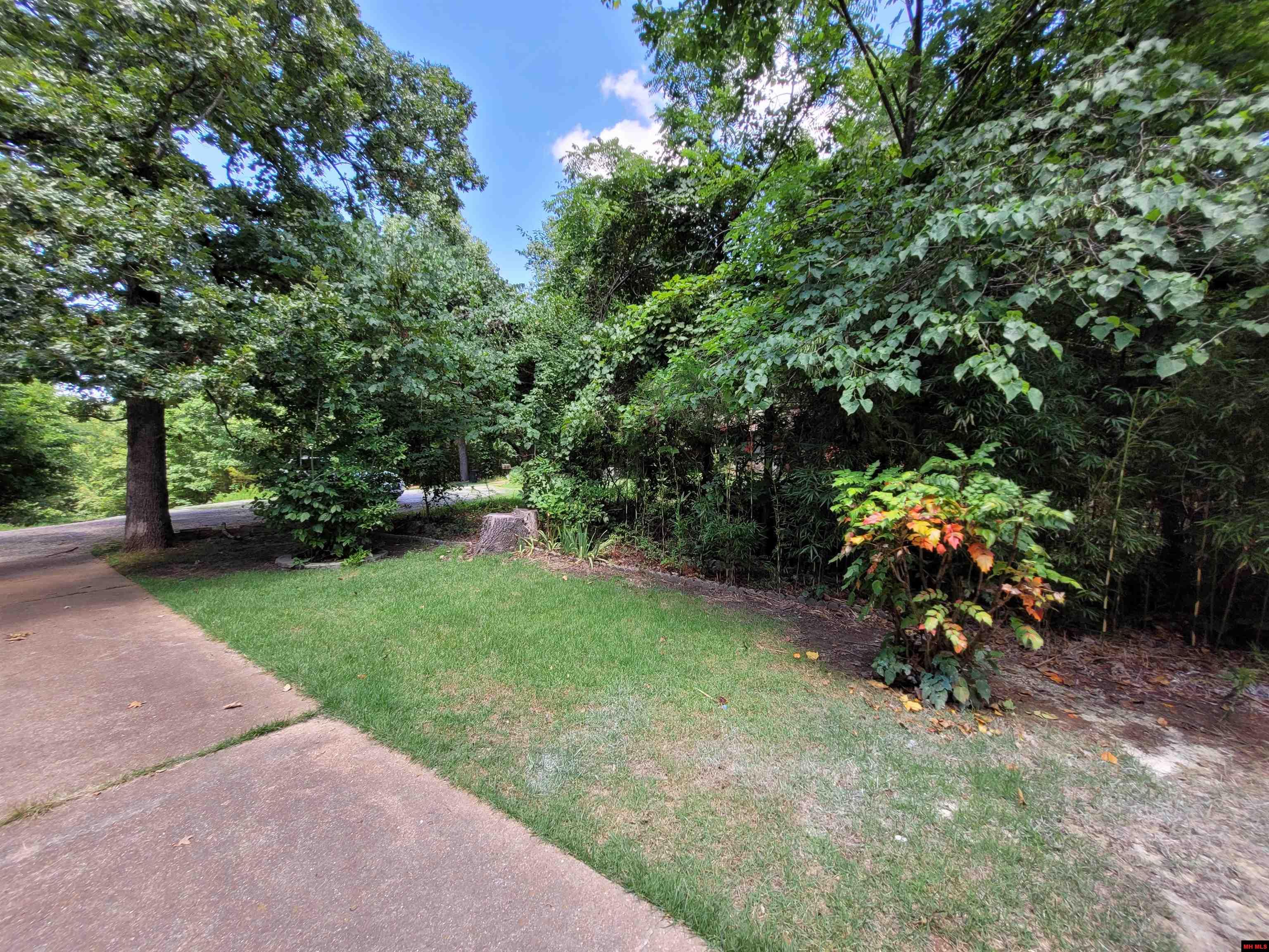 1607 RIVERVIEW CIRCLE Horseshoe Bend, AR 72512