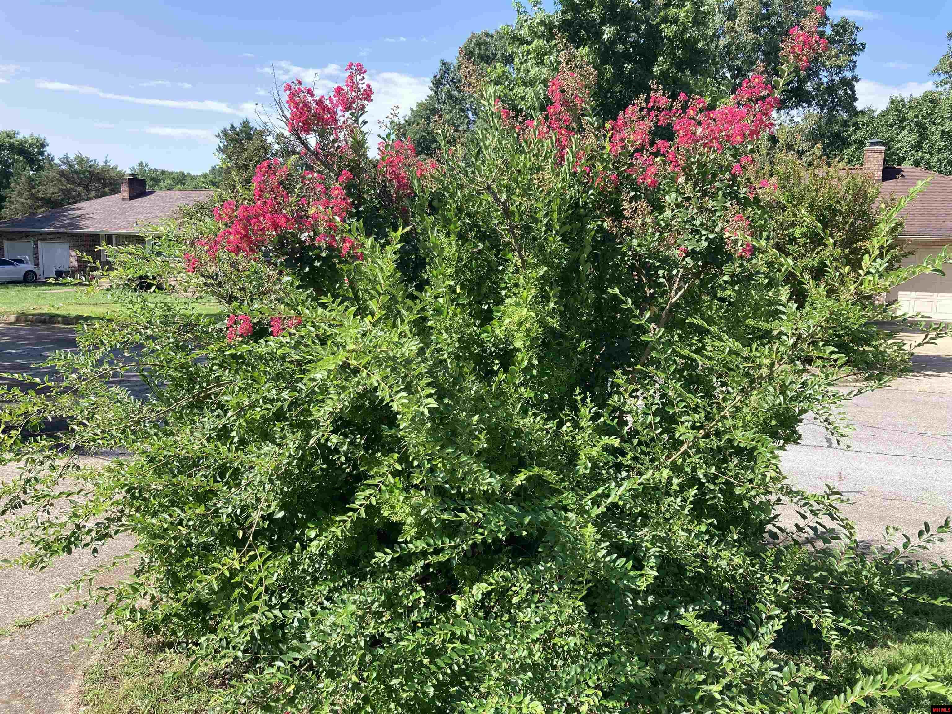 1512 MANOR Mountain Home, AR
