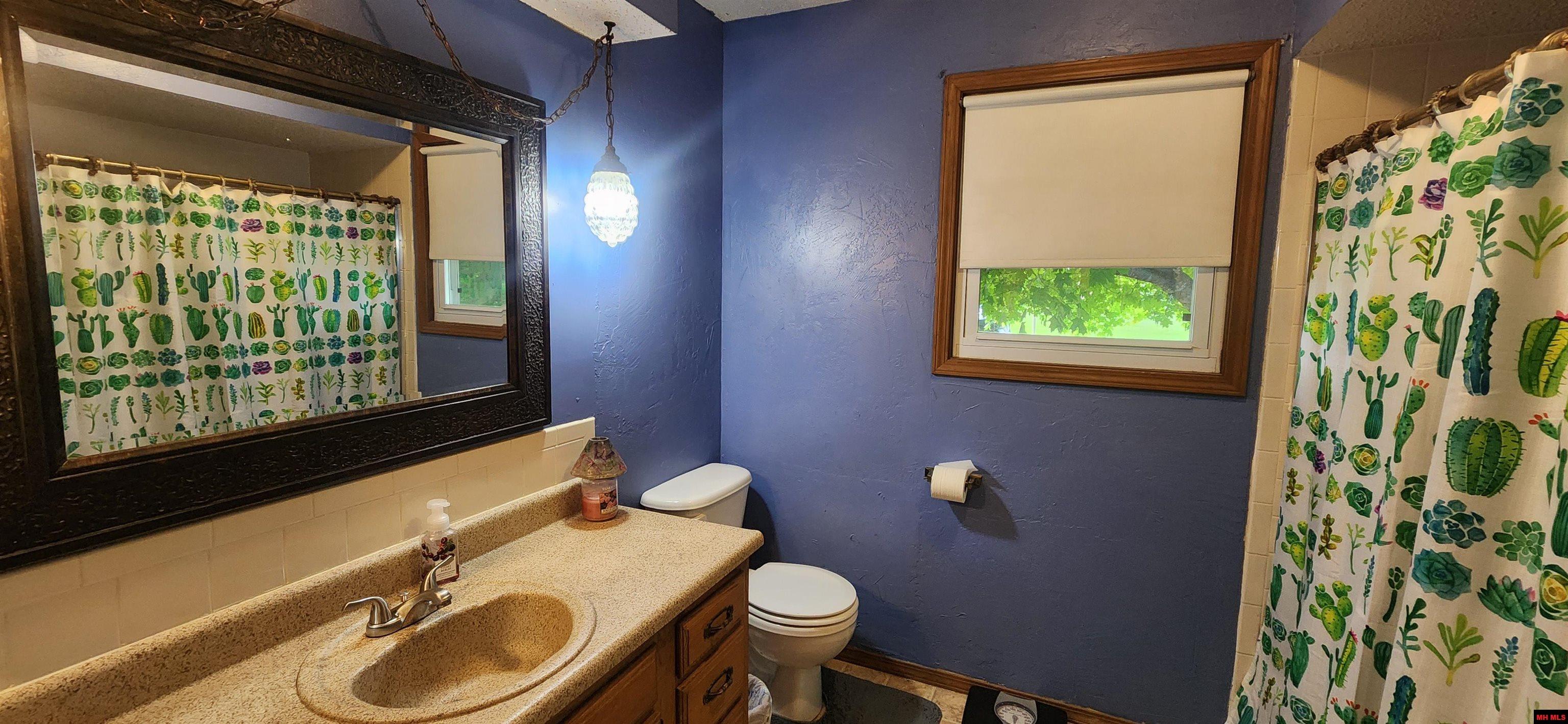 701 SIERRA DRIVE Mountain Home, AR 72653