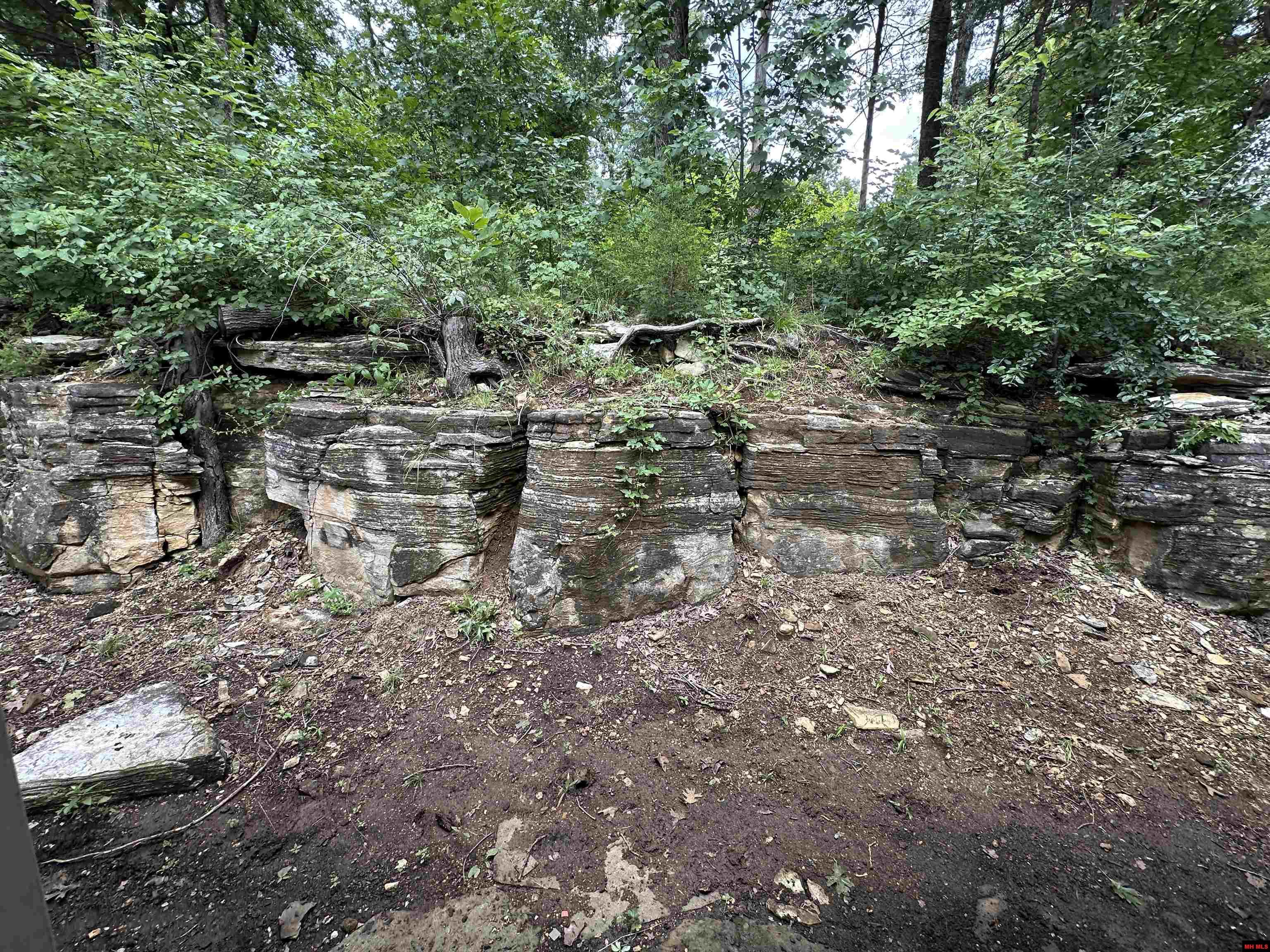 106 MC 3063 Yellville, AR 72687