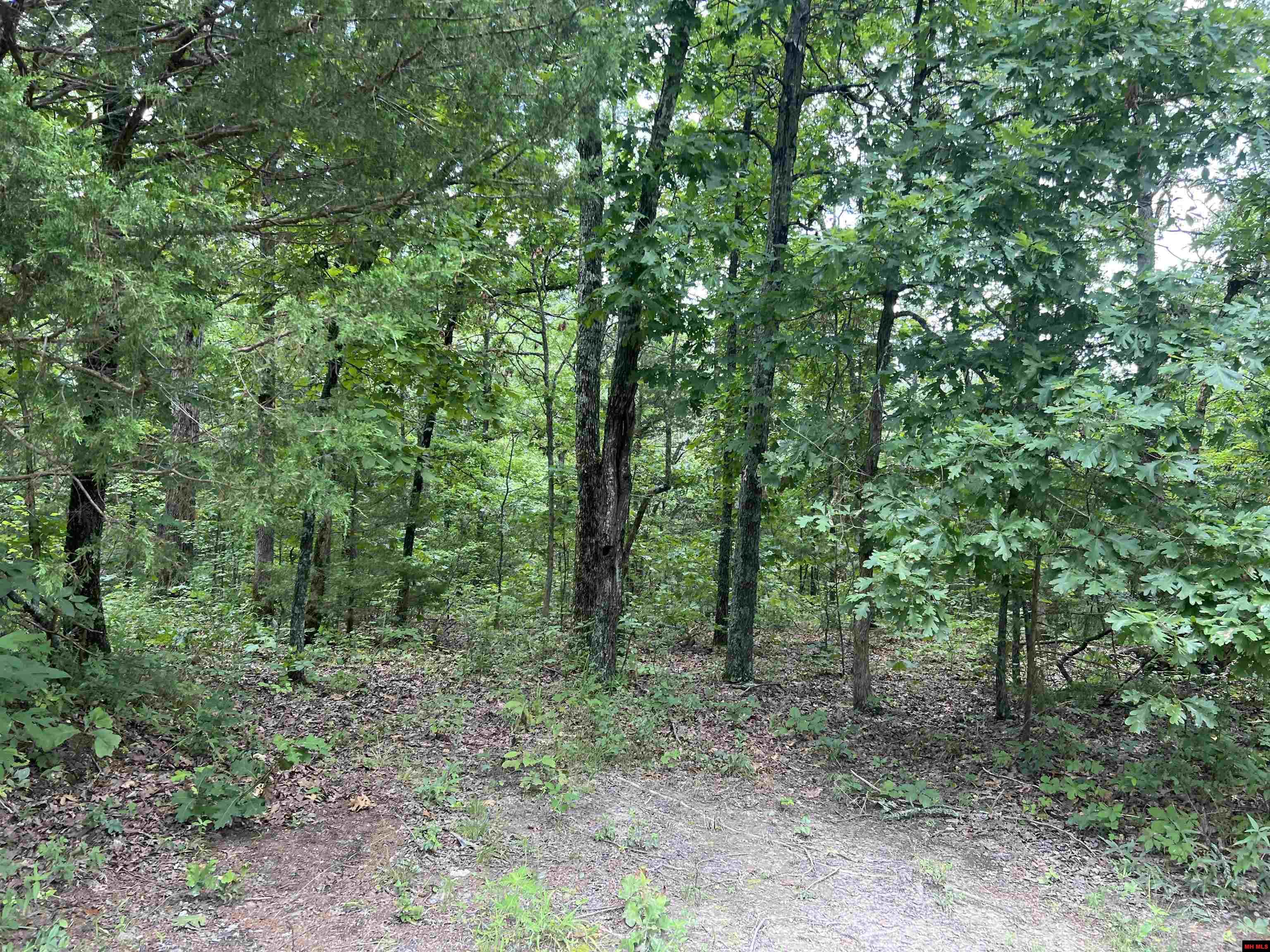 001-05139-006 MC 3061 Yellville, AR 72687