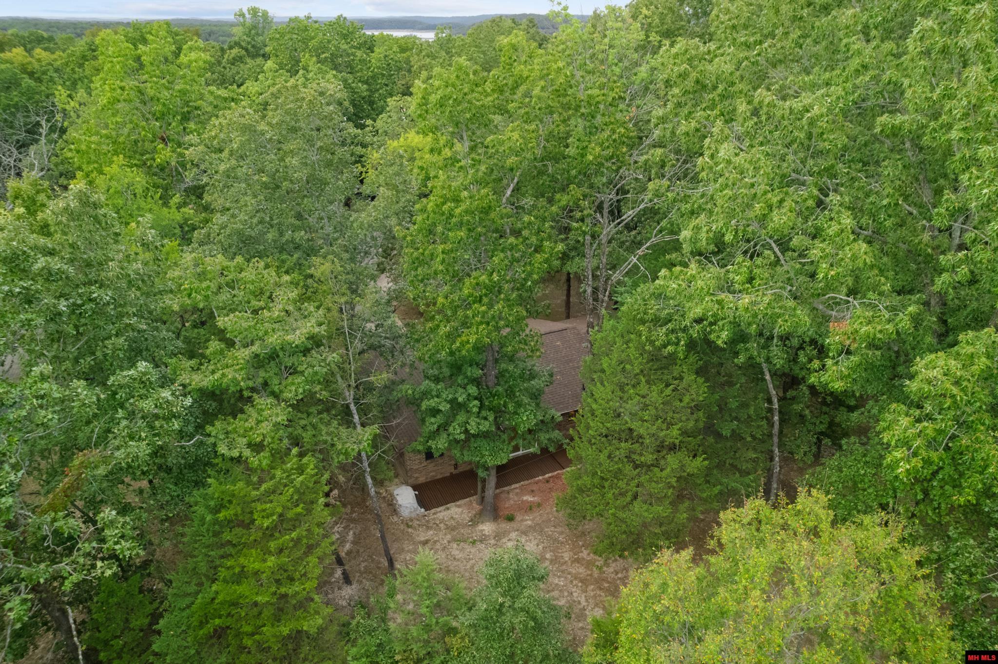 111 WESTWOOD COURT Bull Shoals, AR 72619