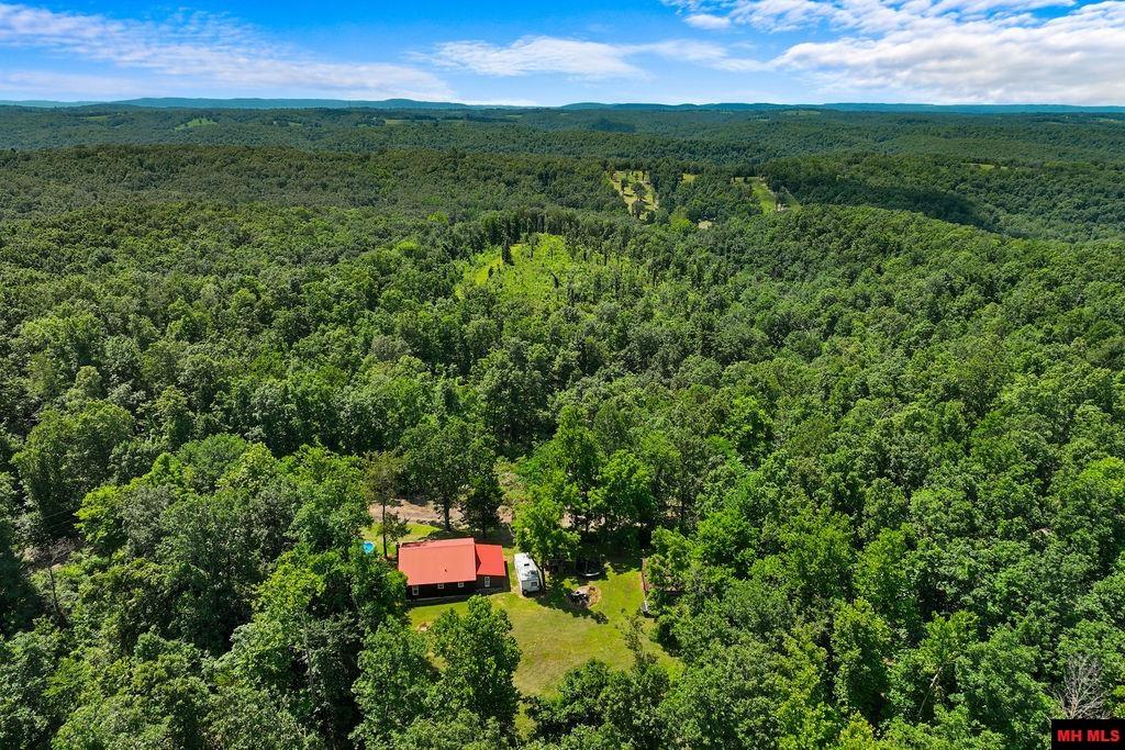 706 AUNT FAYES ROAD Harriet, AR 72639