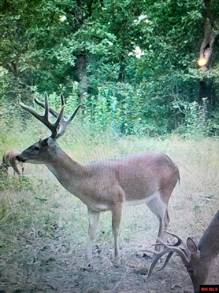 001-09744-000 Hwy 5 North