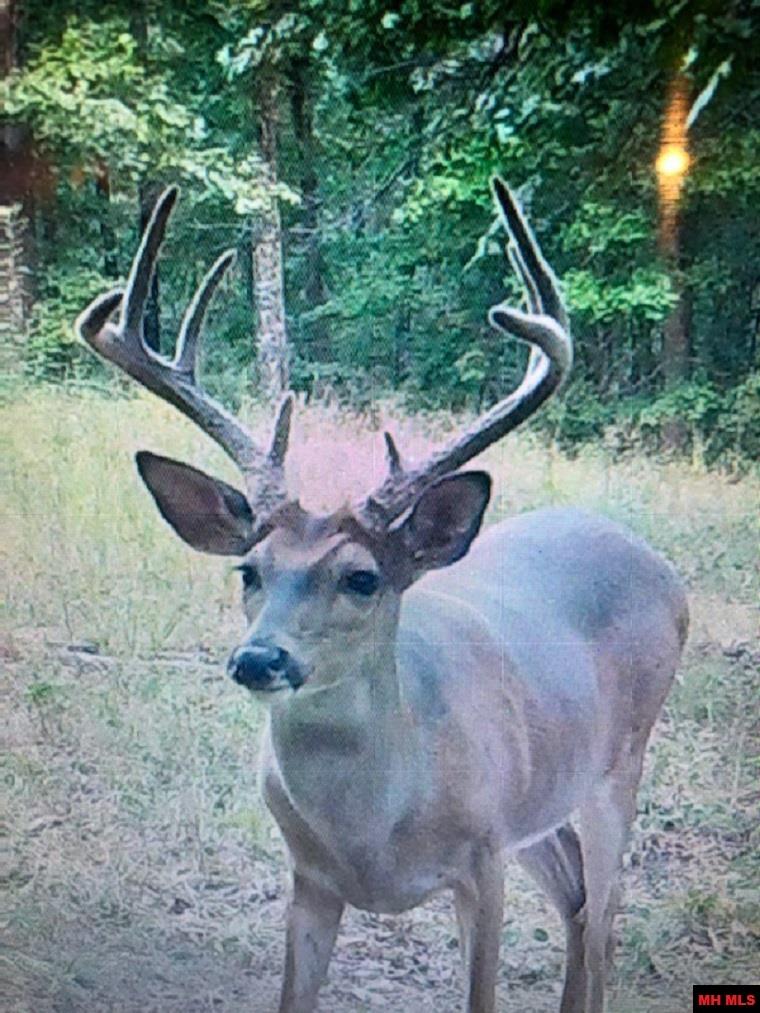 001-09744-000 Hwy 5 North