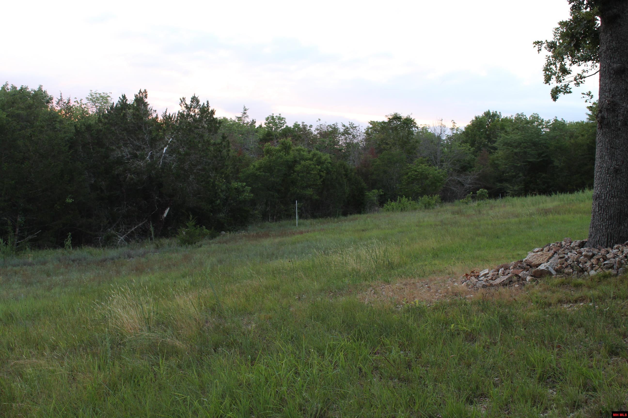 33000004000 LAZY ACRES ROAD Protem, MO