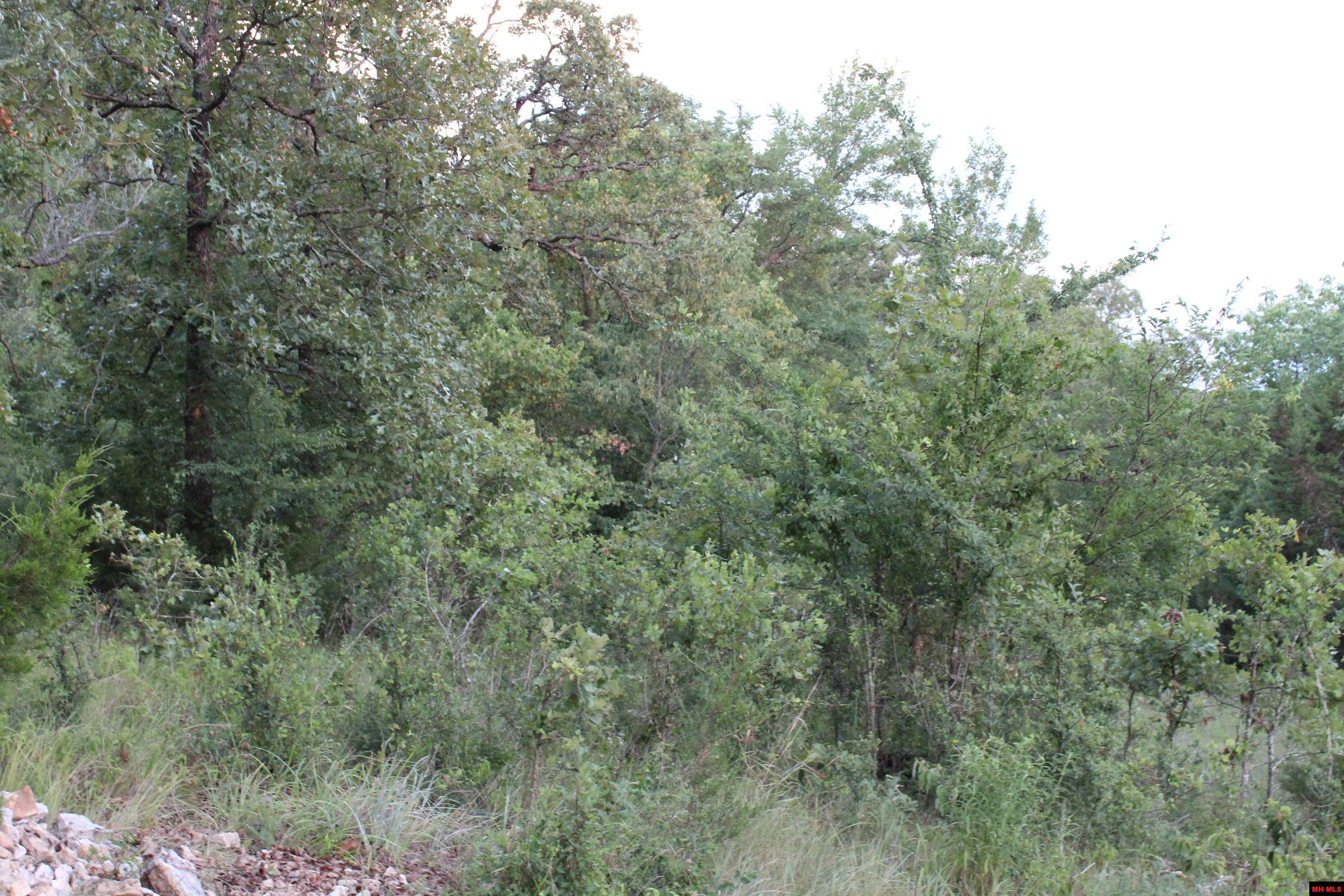 33000004000 LAZY ACRES ROAD Protem, MO