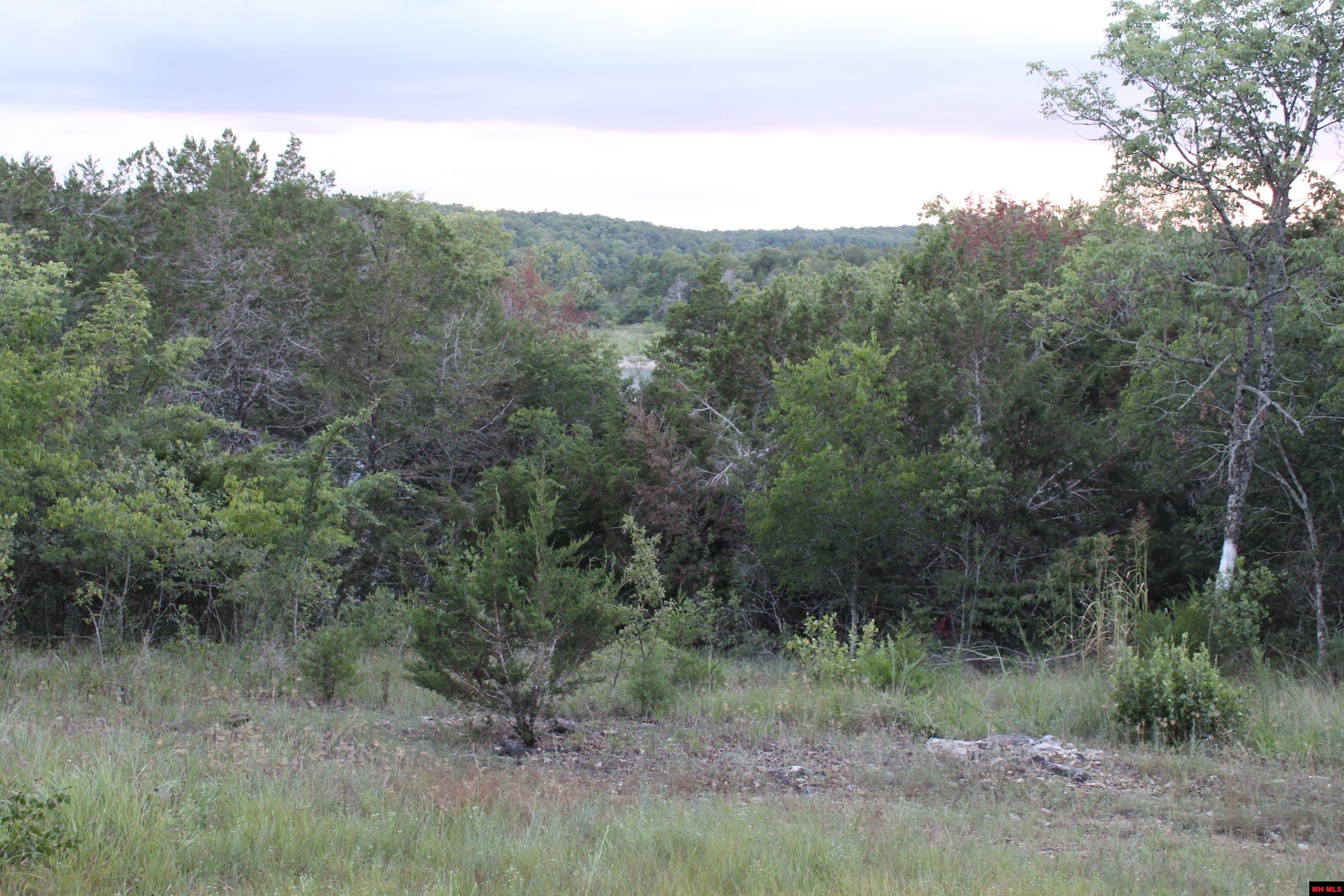 33000004000 LAZY ACRES ROAD Protem, MO