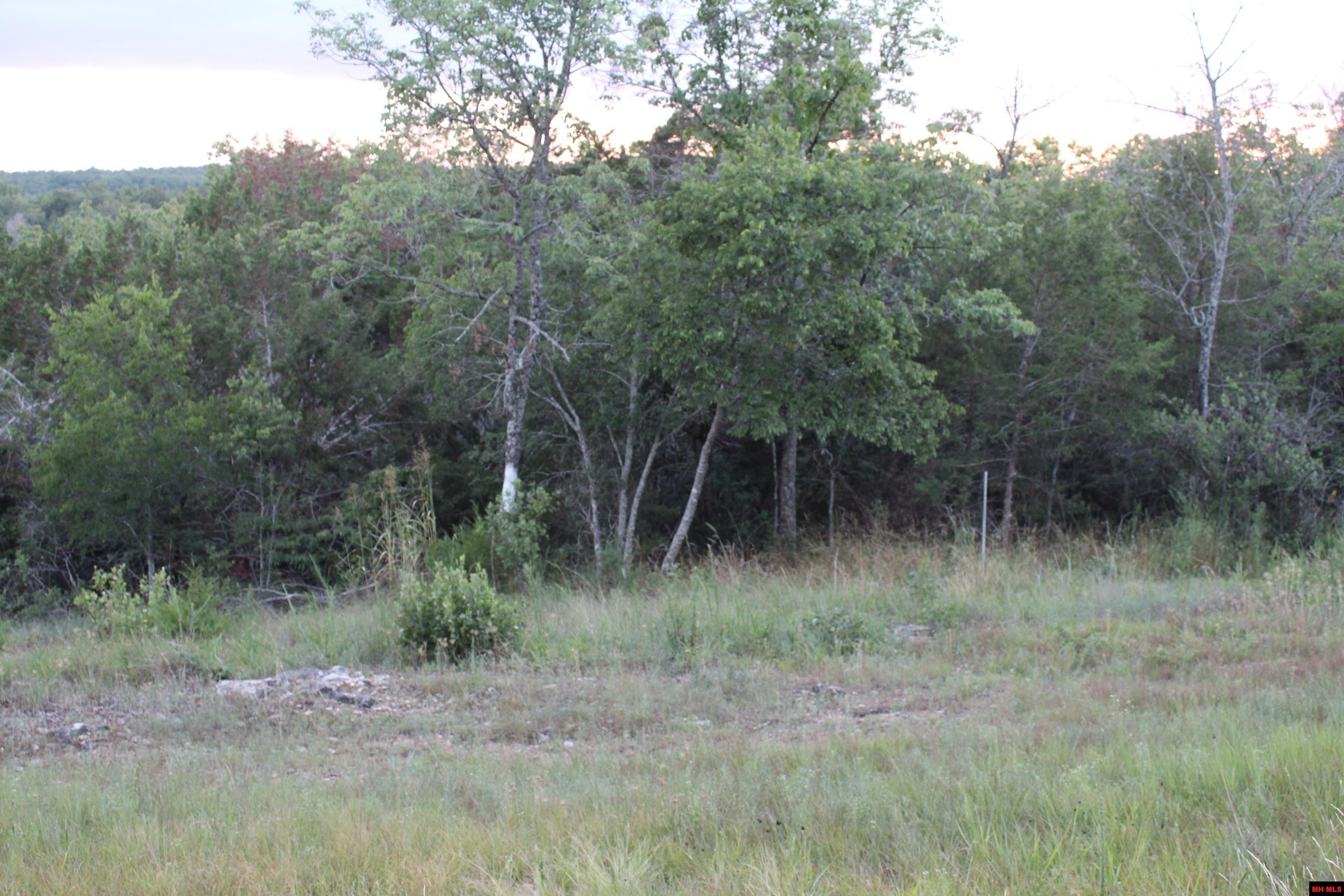 33000004000 LAZY ACRES ROAD Protem, MO