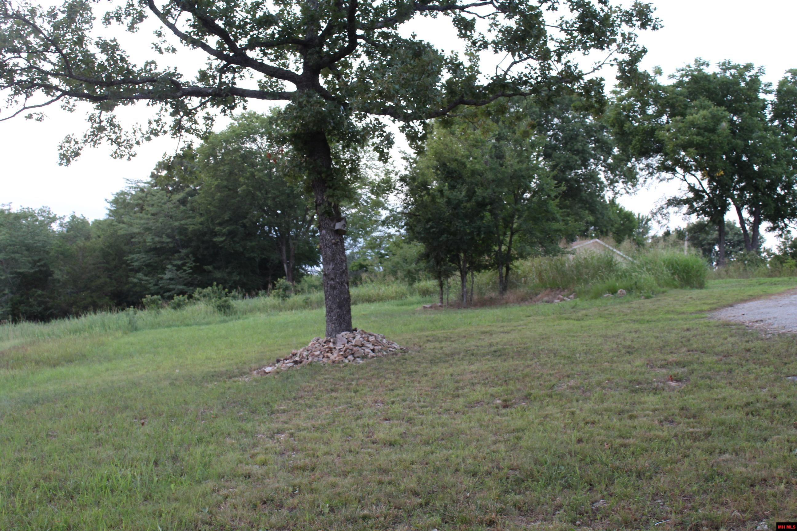 33000004000 LAZY ACRES ROAD Protem, MO
