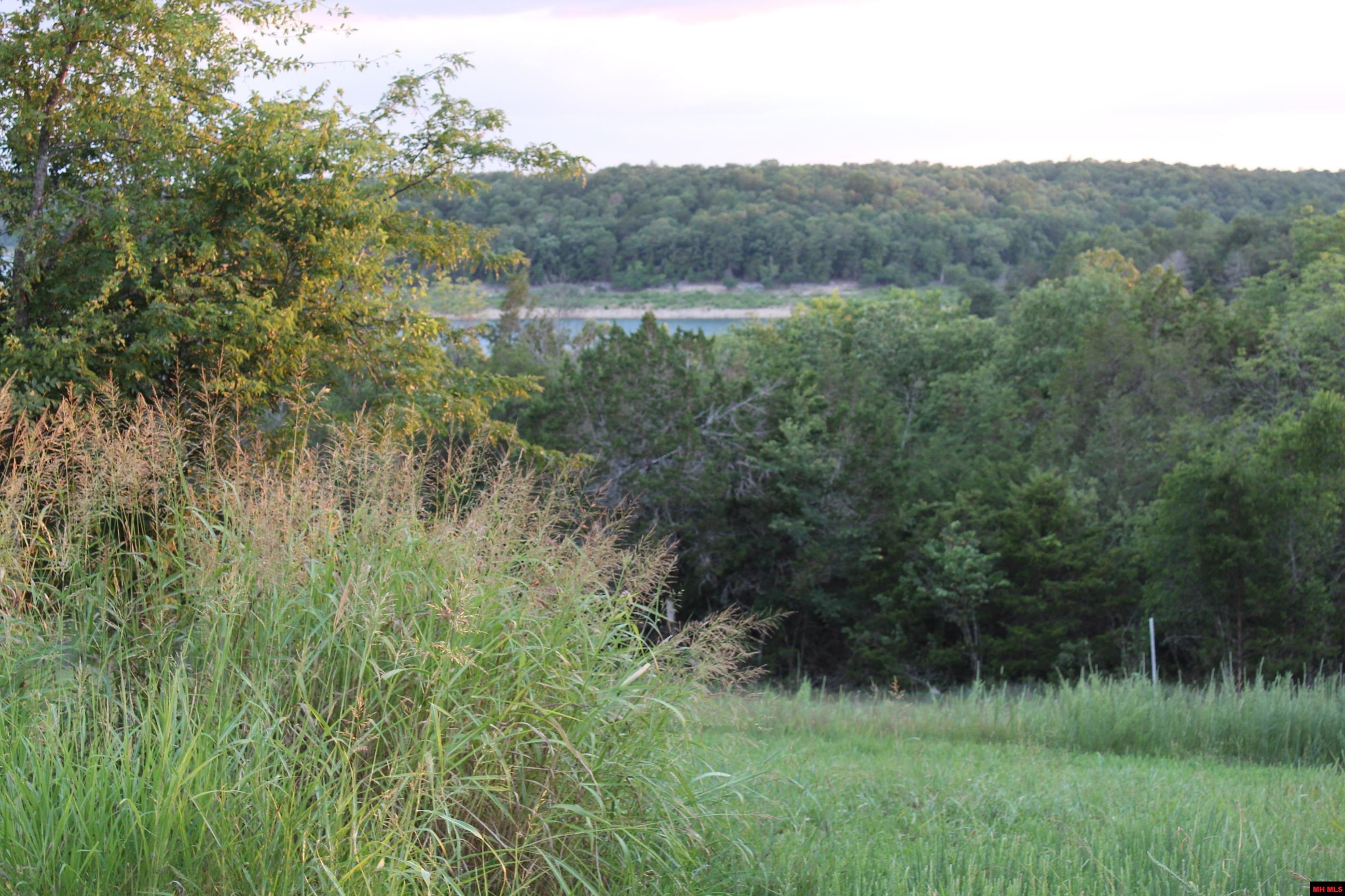 33000004000 LAZY ACRES ROAD Protem, MO