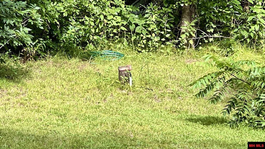 9154 HWY 62 WEST Yellville, AR 72687-9998