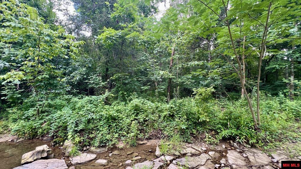 9154 HWY 62 WEST Yellville, AR 72687-9998