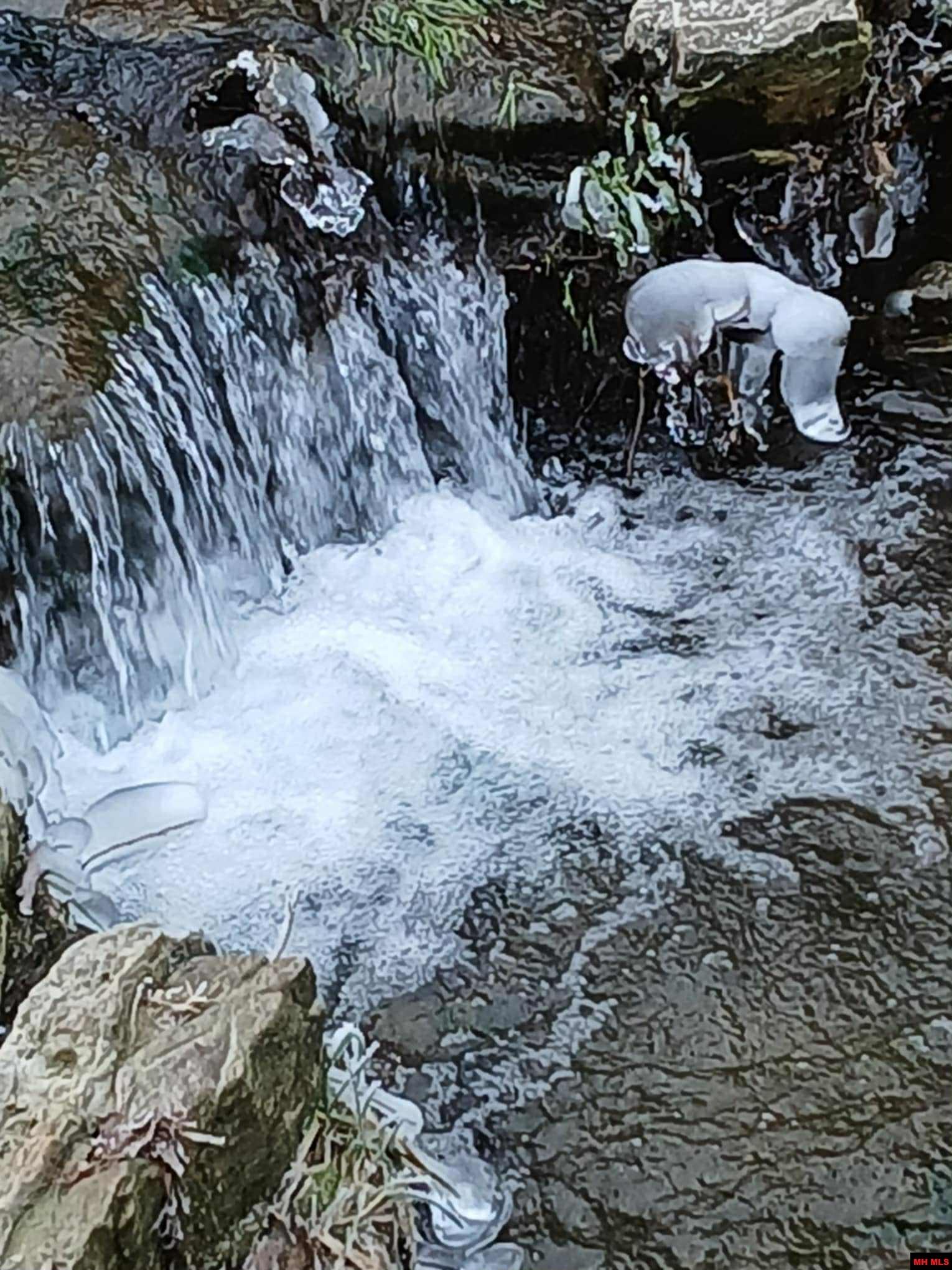 9154 HWY 62 WEST Yellville, AR 72687-9998