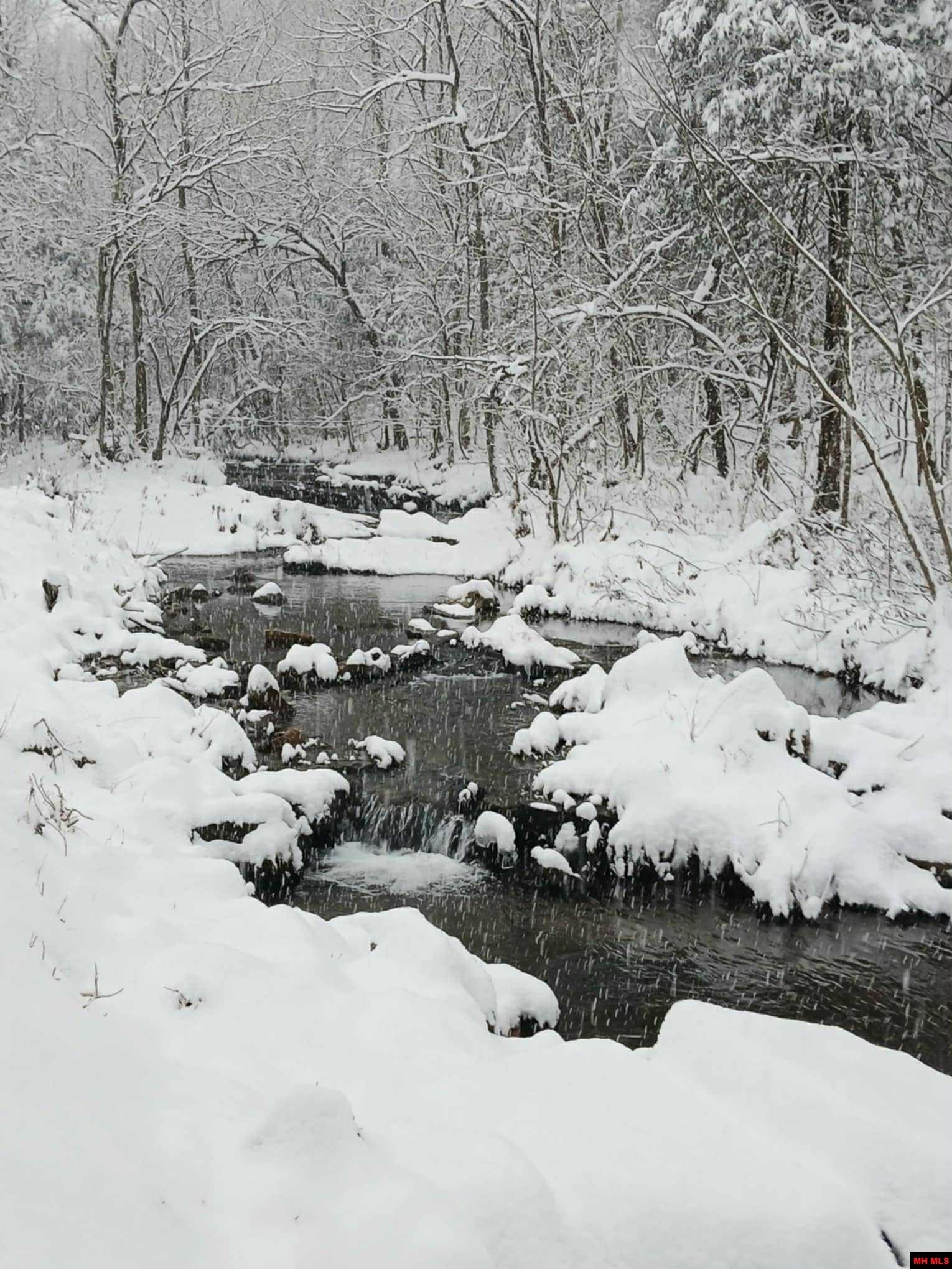 9154 HWY 62 WEST Yellville, AR 72687-9998