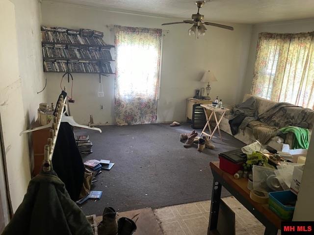 1760 MC 6065 Flippin, AR
