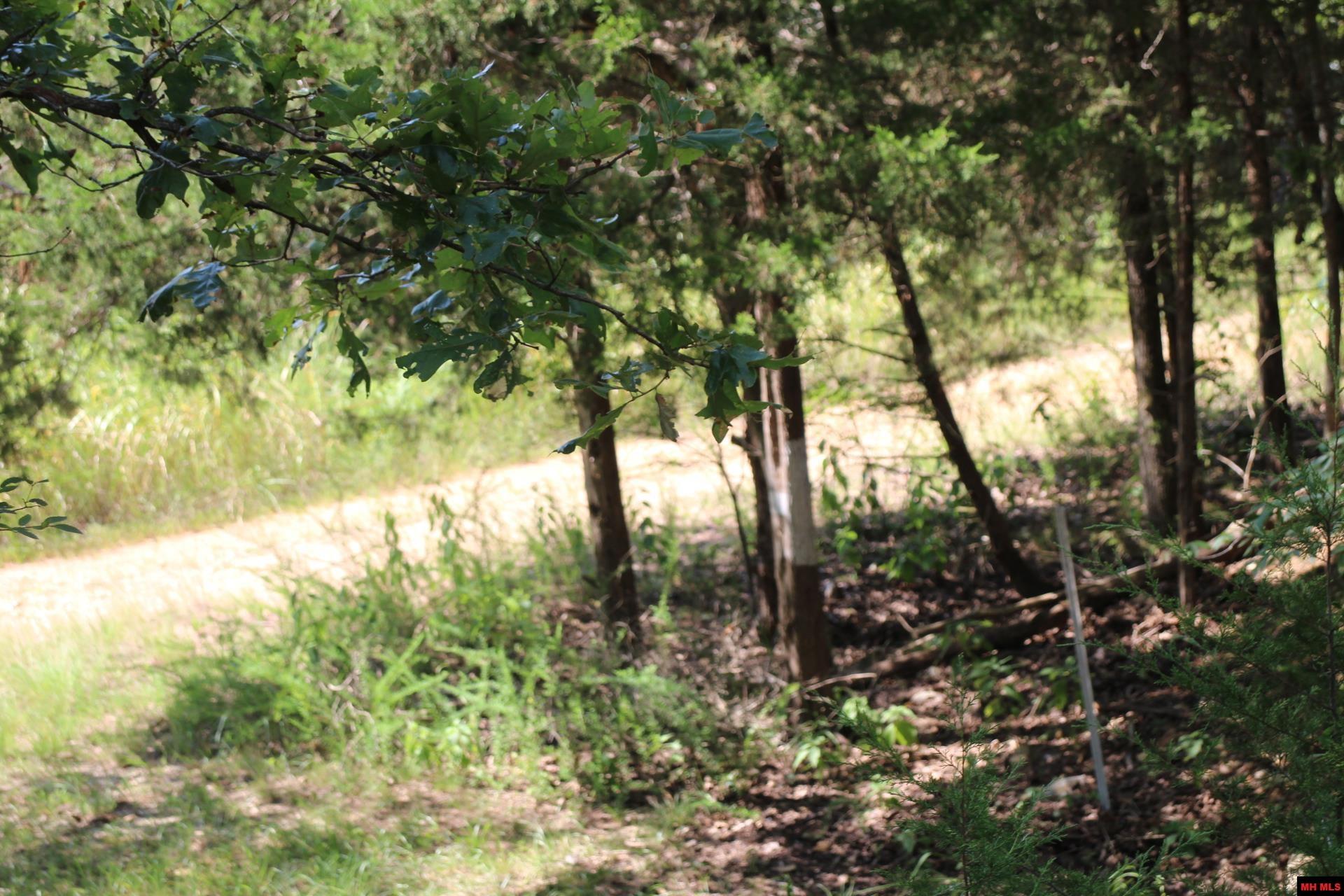 12366 NW HWY 125 Yellville, AR 72687