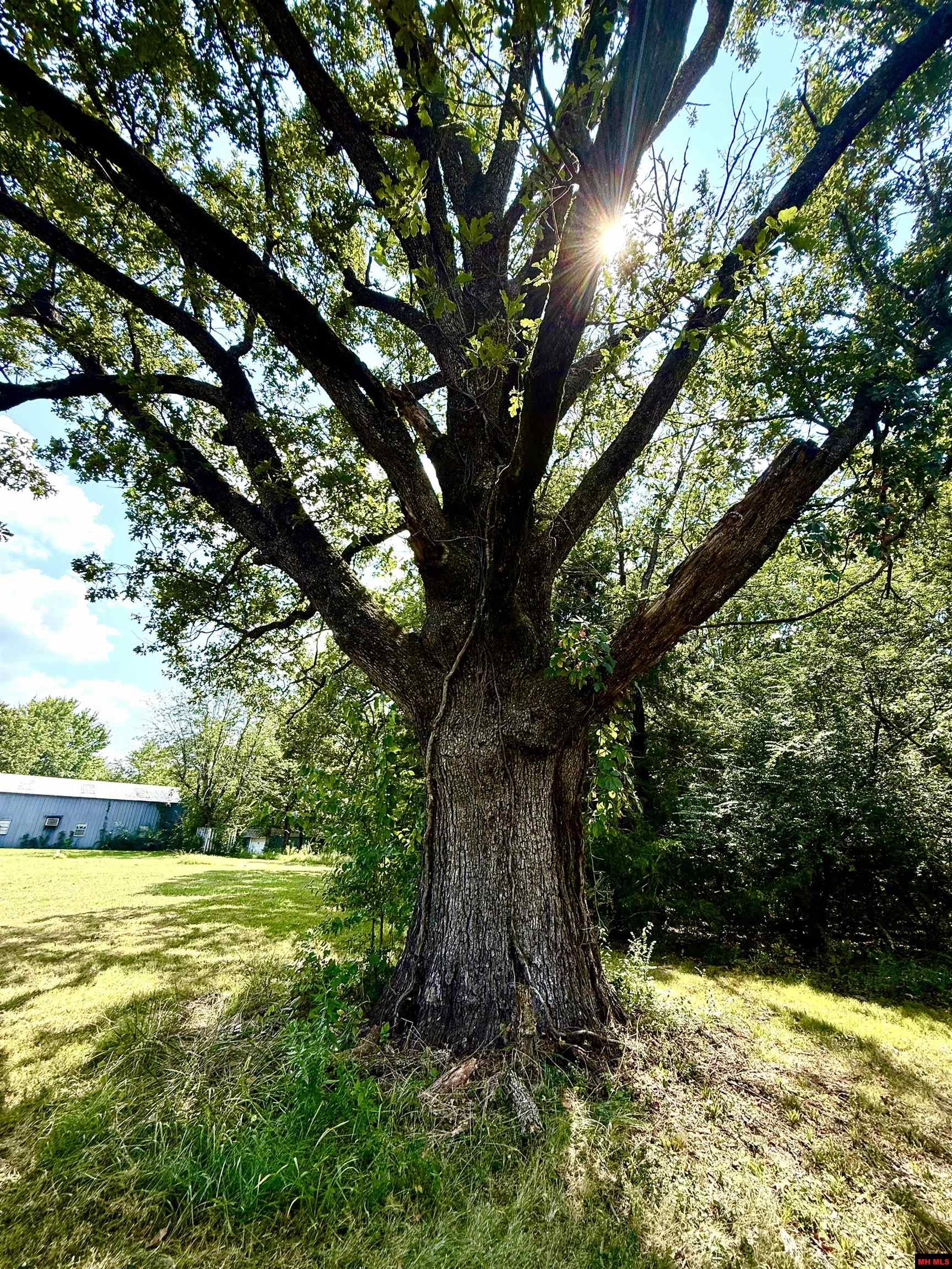 3754 HWY 5 NORTH Mountain Home, AR
