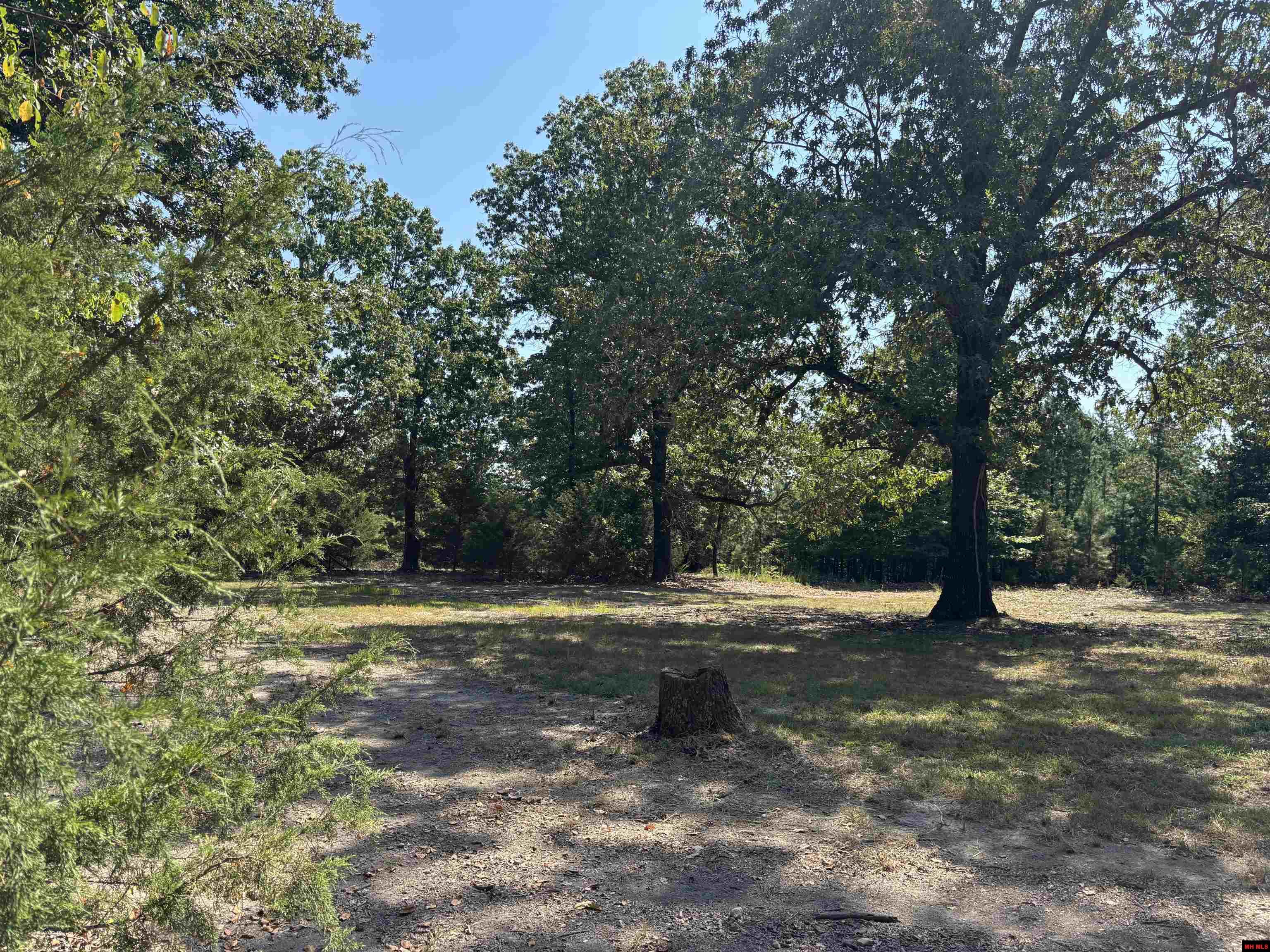 667 MC 5059 Valley Springs, AR