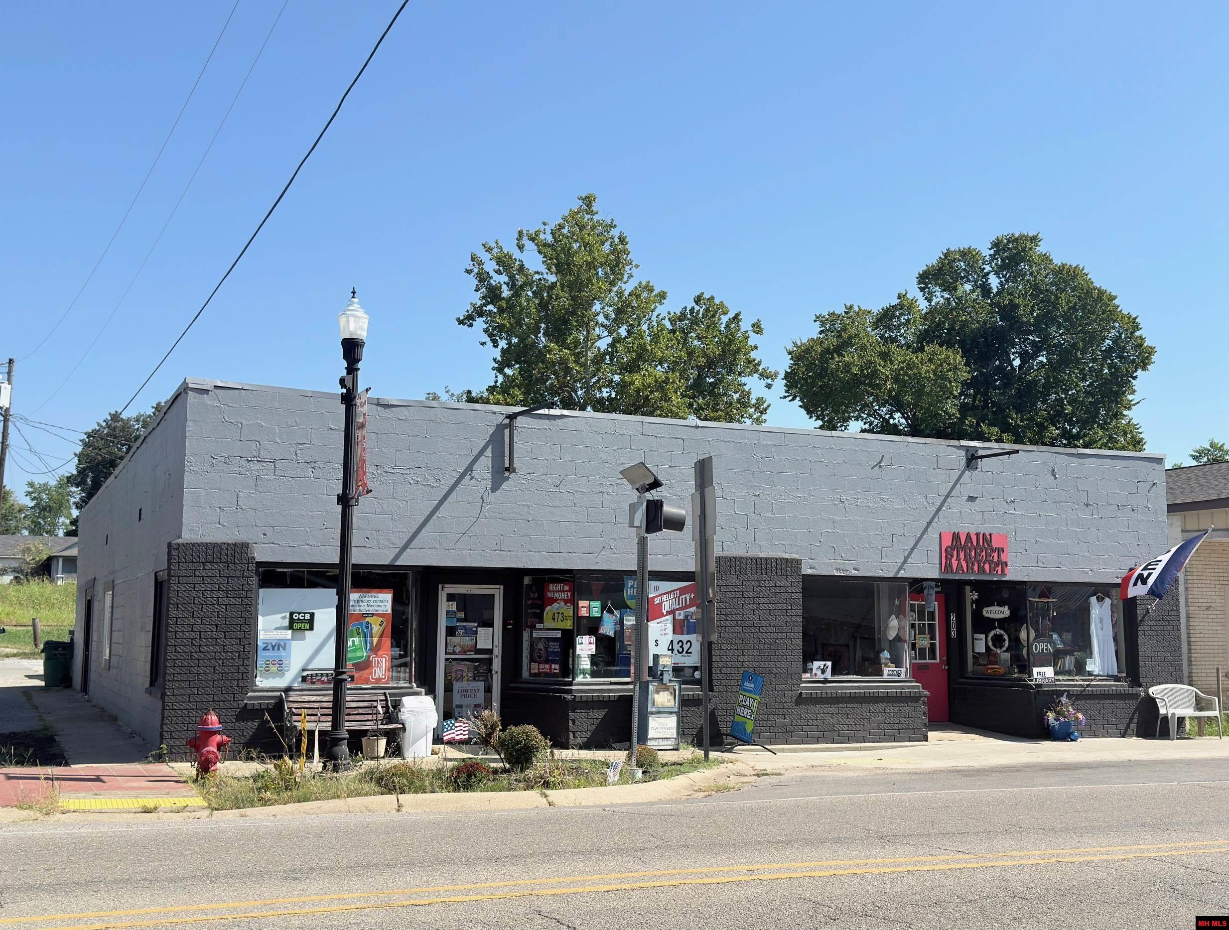 201 & 203 MAIN STREET Flippin, AR