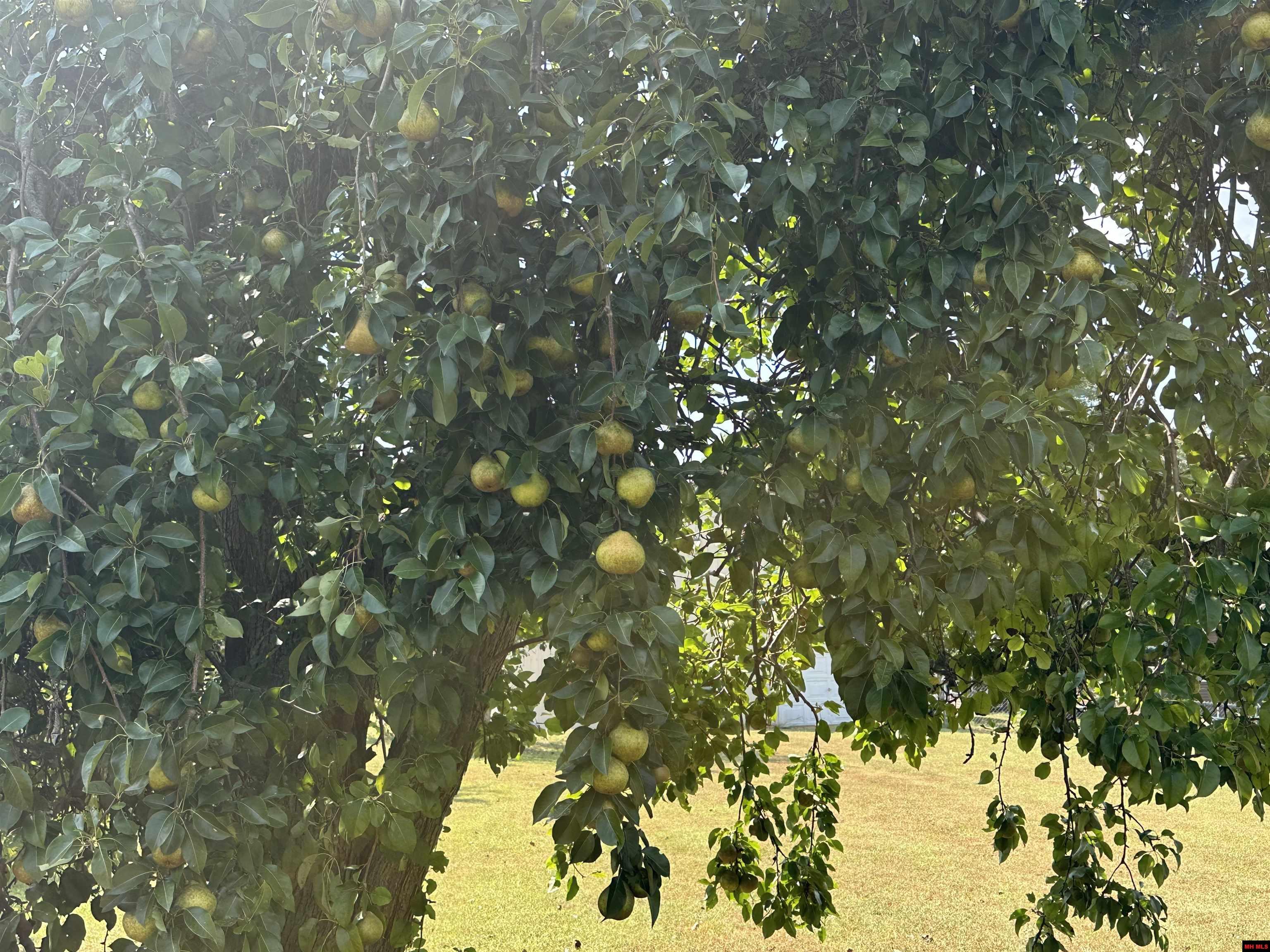 100 DEB-MAR WOODS TERRACE Mountain Home, AR 72653