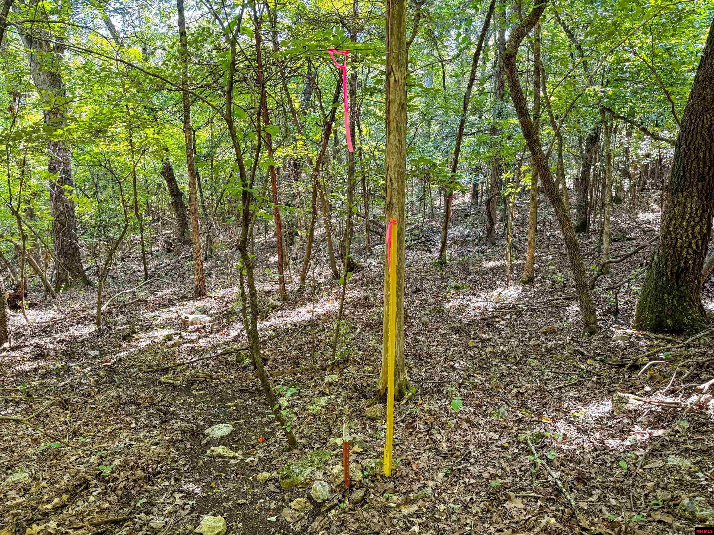 328 & 361 Rim Shoals Lane