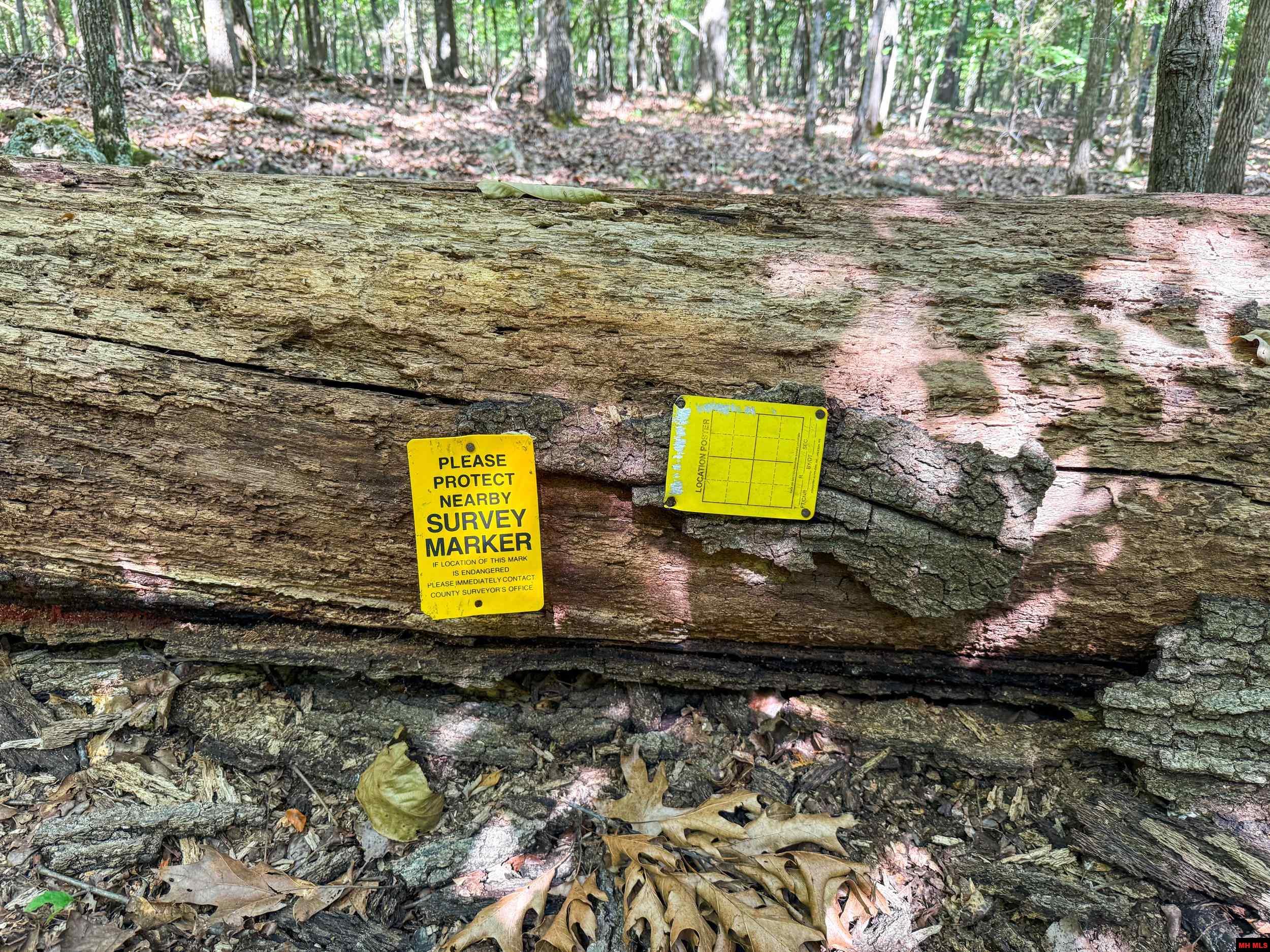 328 & 361 Rim Shoals Lane