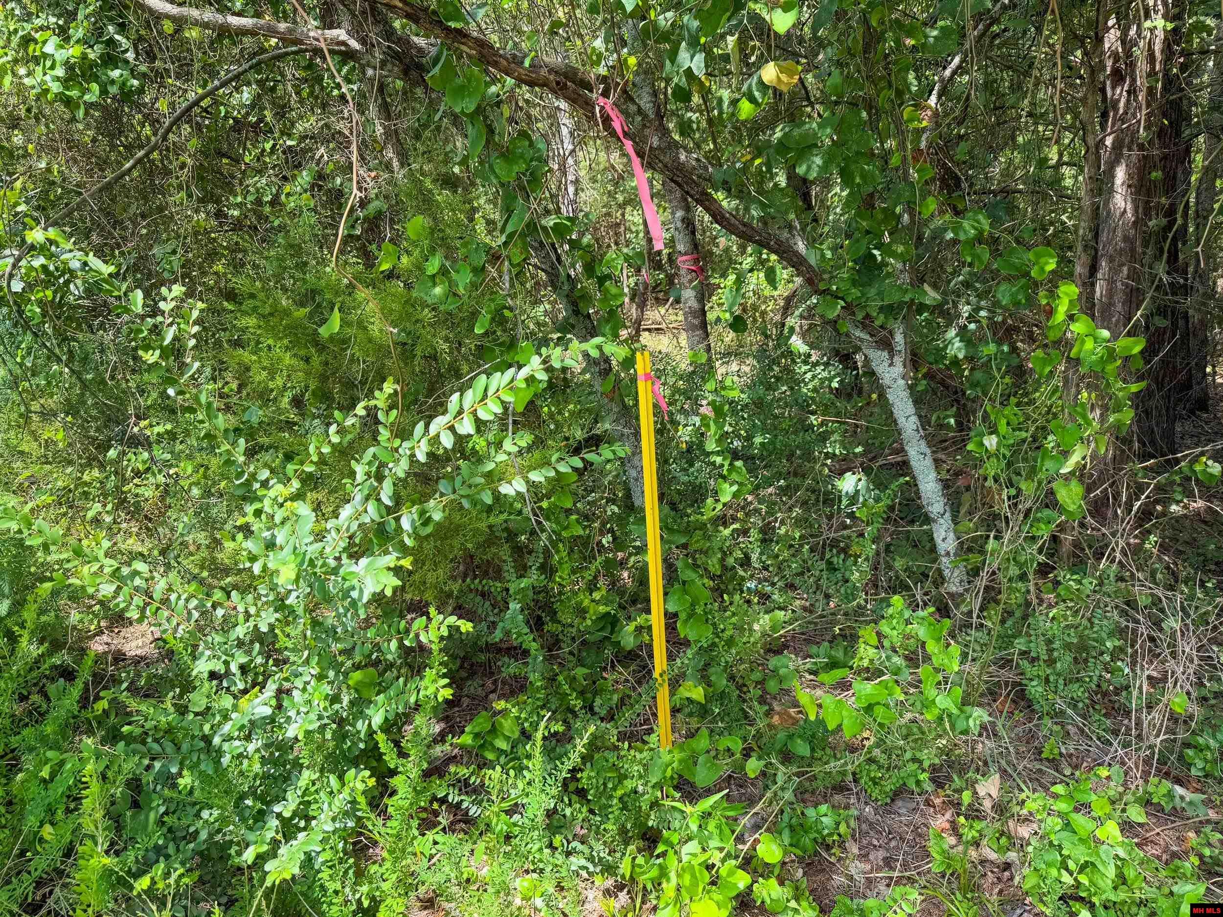 328 & 361 Rim Shoals Lane