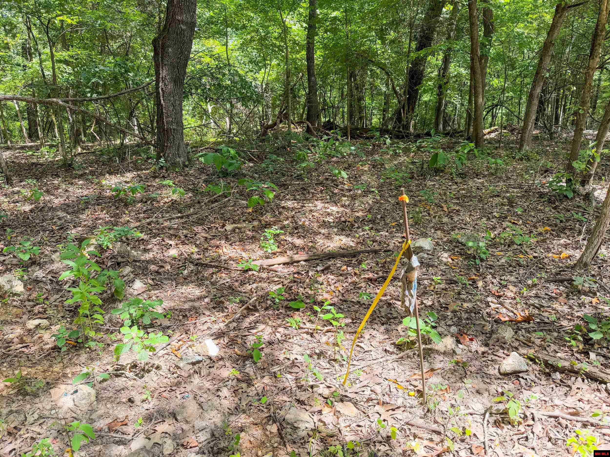 328 & 361 Rim Shoals Lane