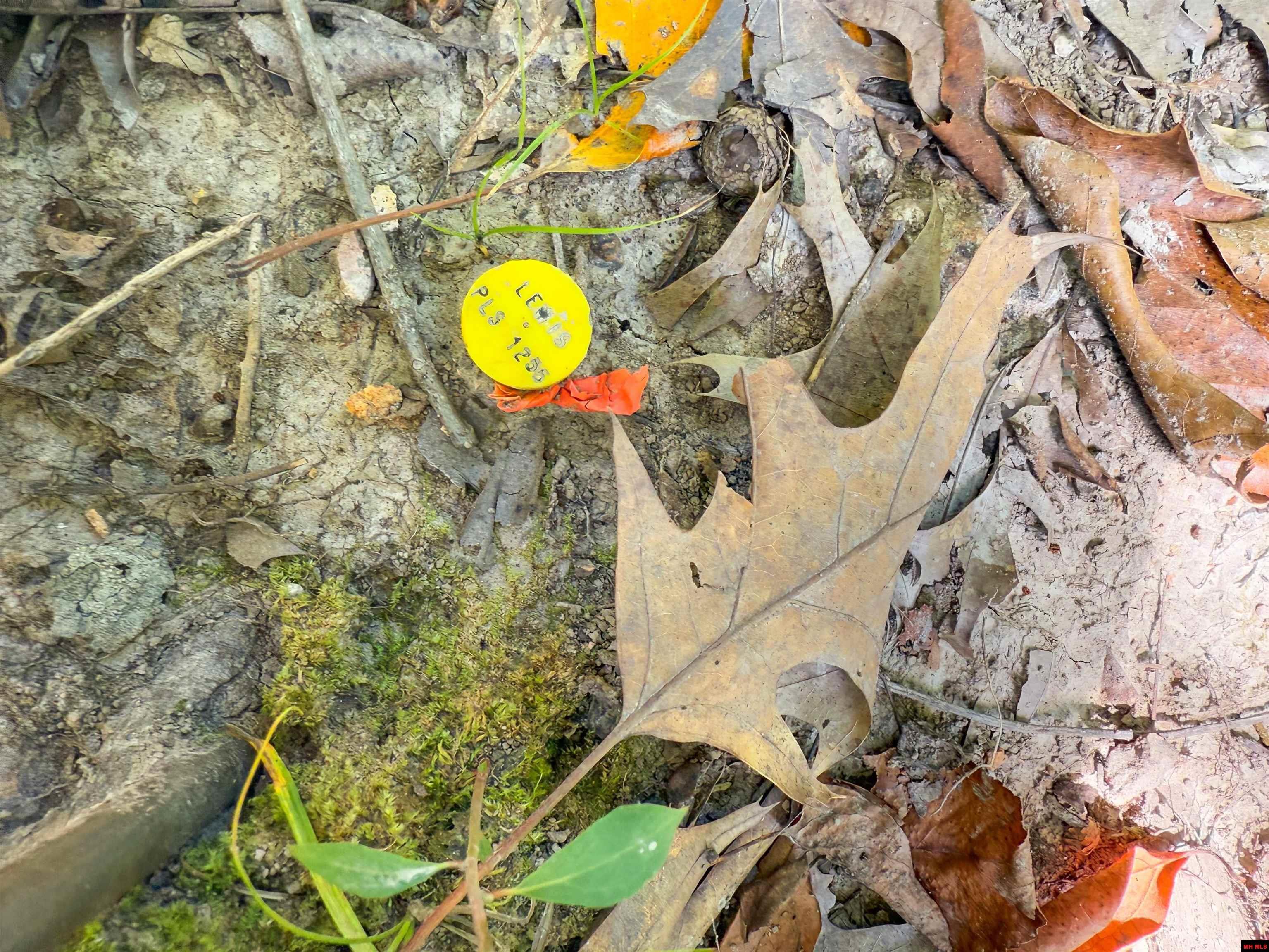 328 & 361 Rim Shoals Lane