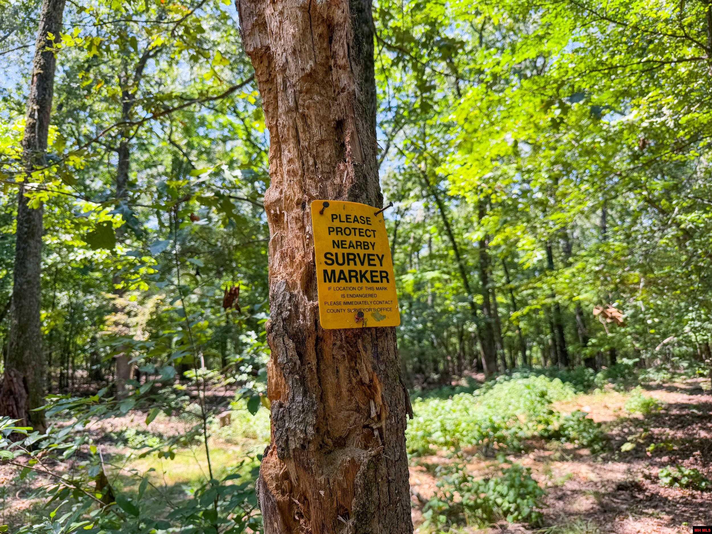 328 & 361 Rim Shoals Lane