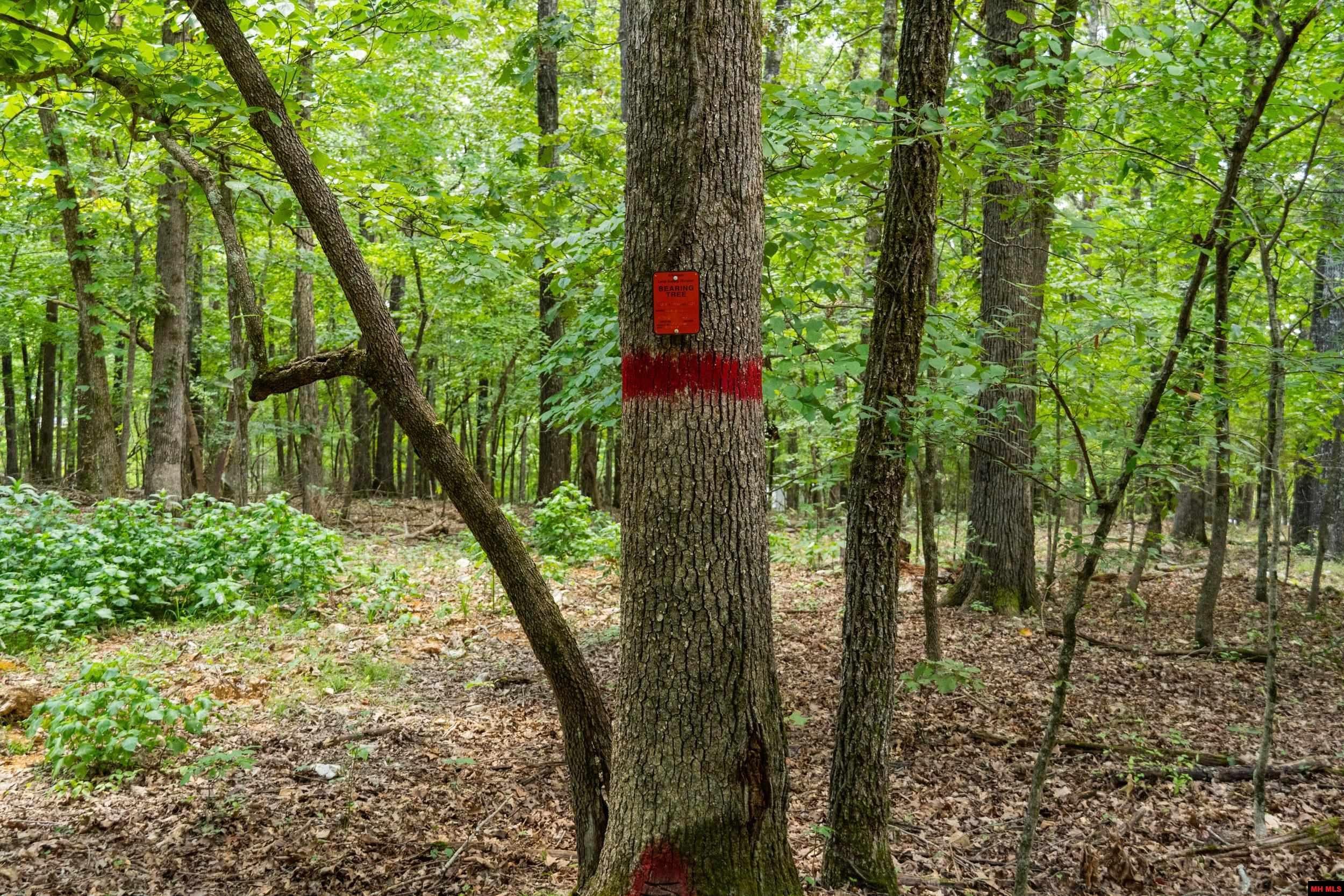 328 & 361 Rim Shoals Lane