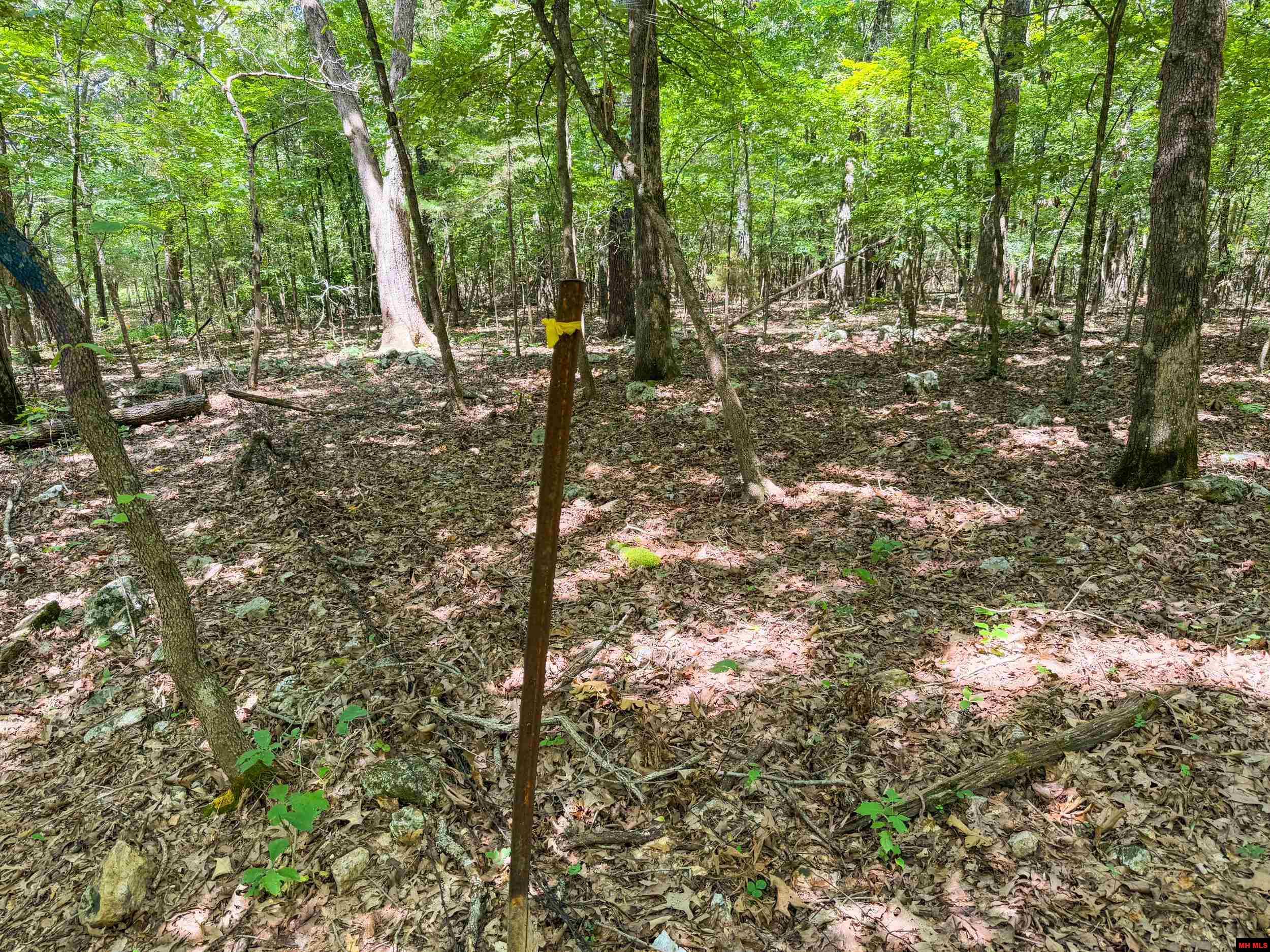 328 & 361 Rim Shoals Lane