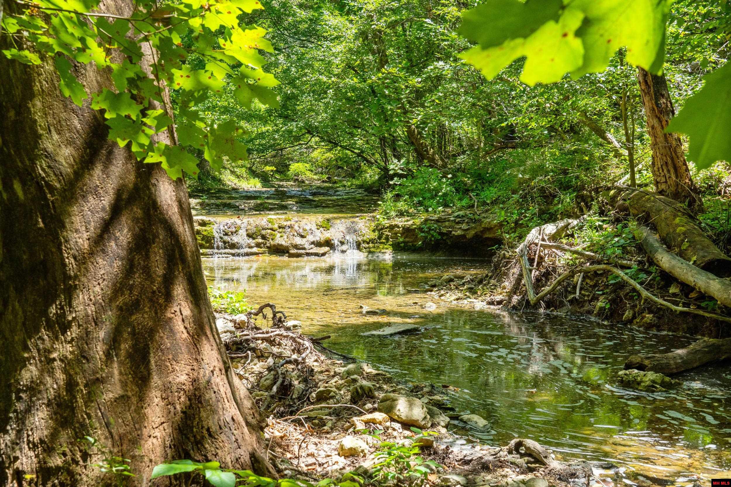 328 & 361 Rim Shoals Lane