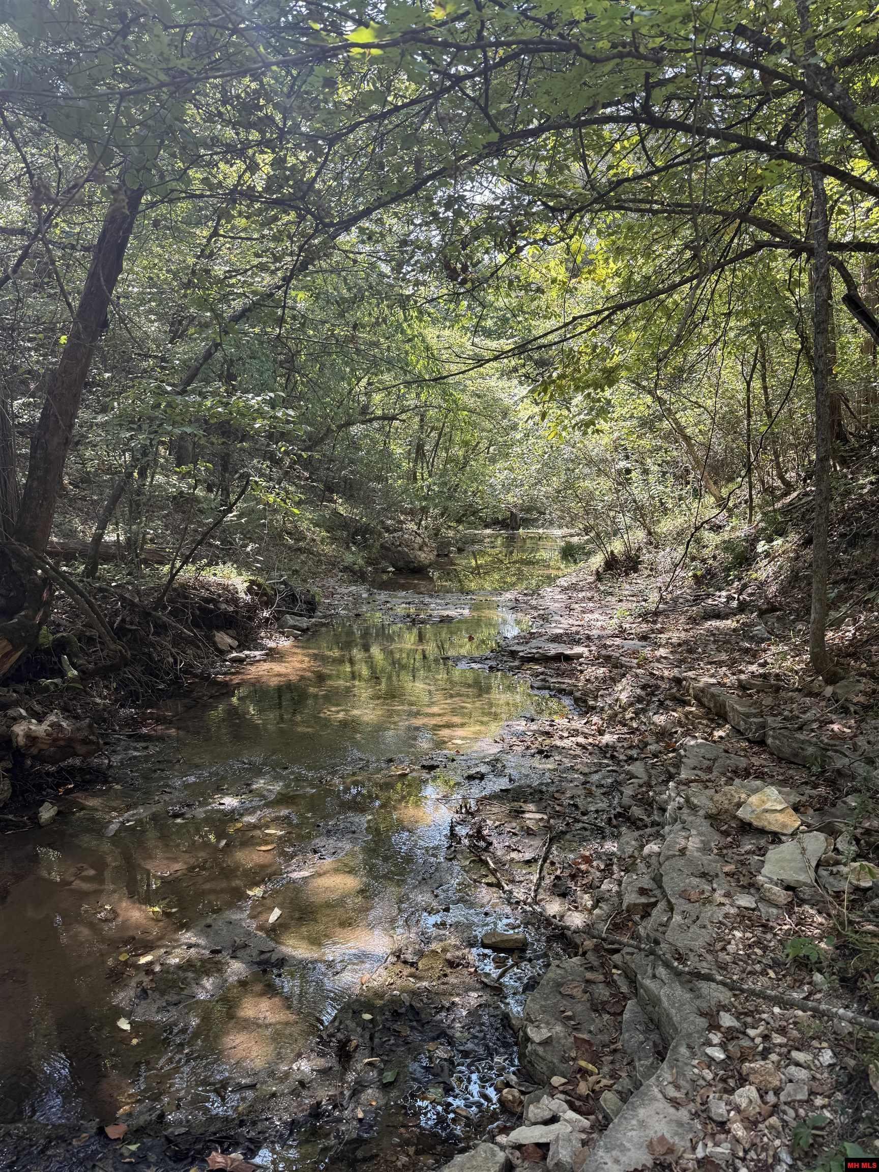 328 & 361 Rim Shoals Lane