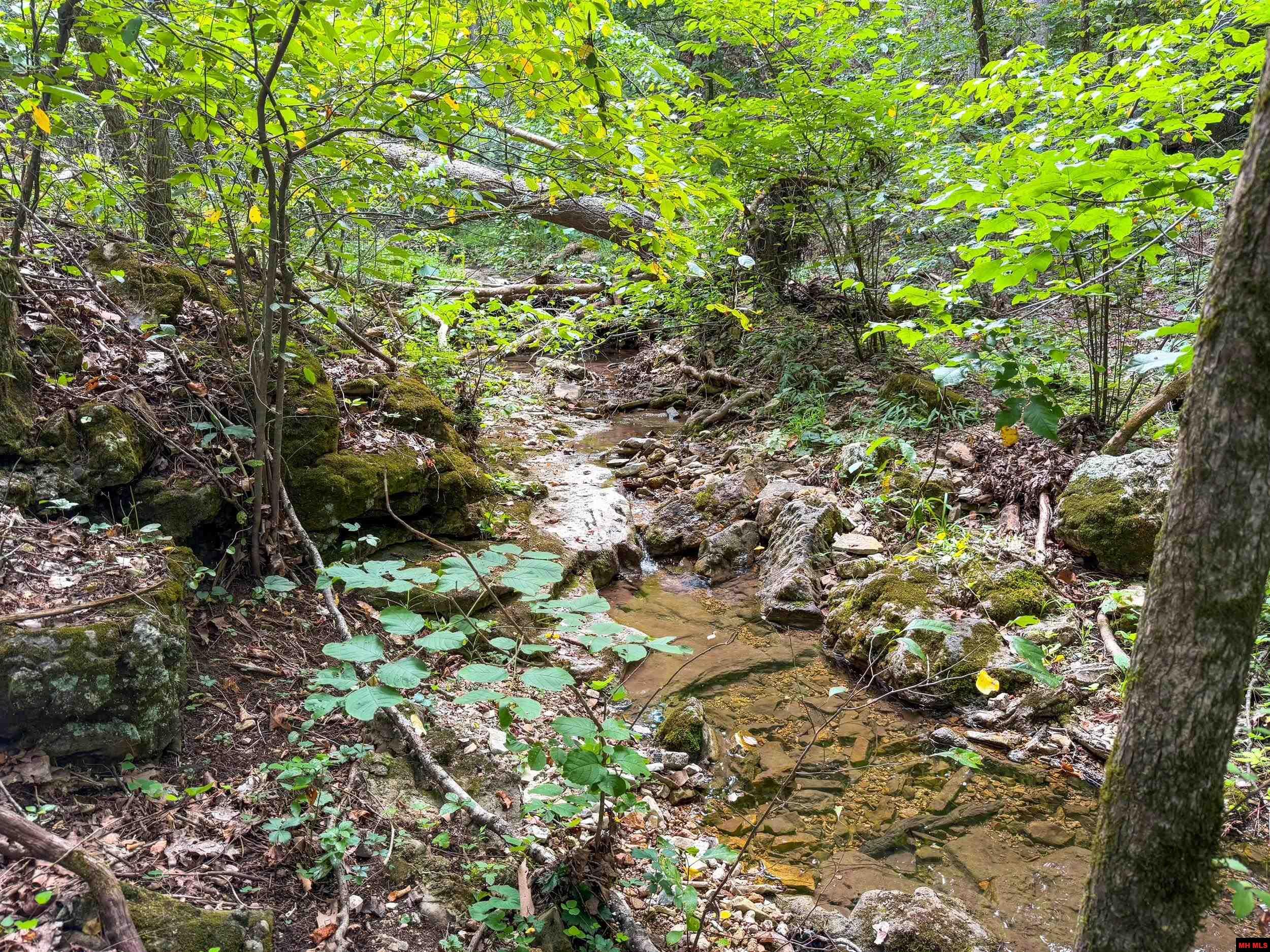 328 & 361 Rim Shoals Lane