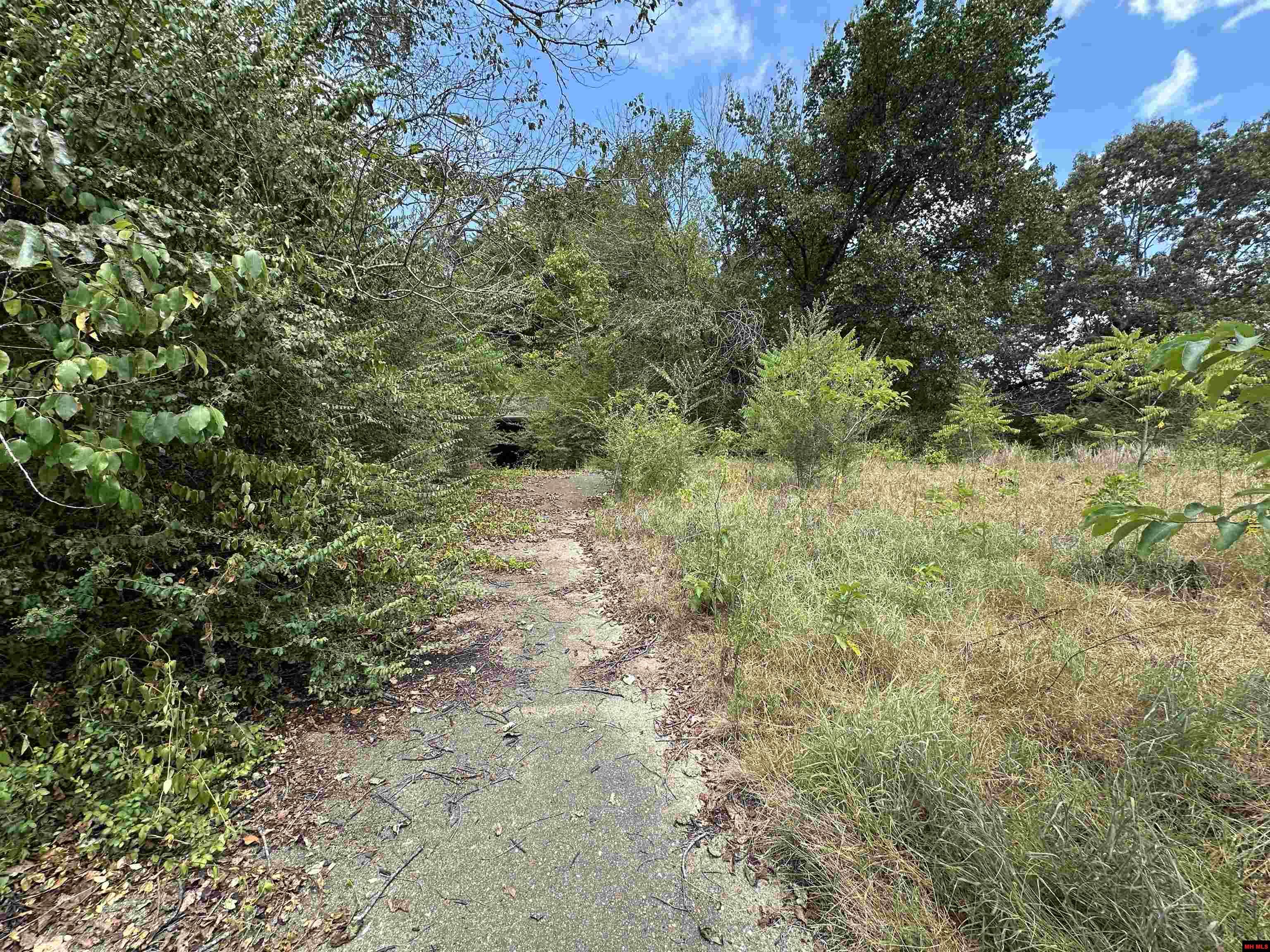46 WHITE RIVER LANE Flippin, AR