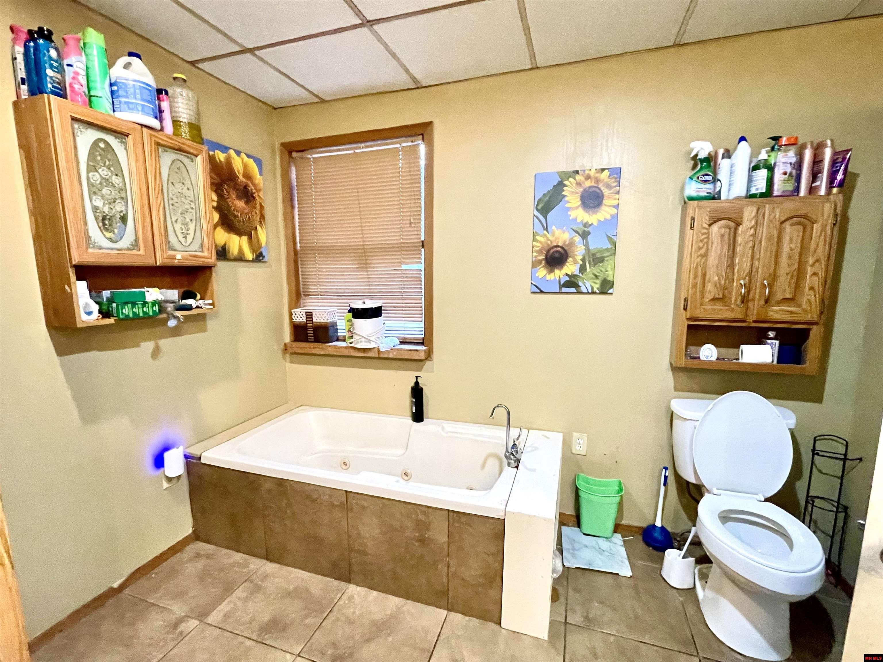 68 S IUKA ROAD Calico Rock, AR 72519