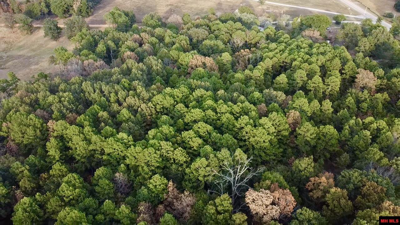 68 S IUKA ROAD Calico Rock, AR 72519