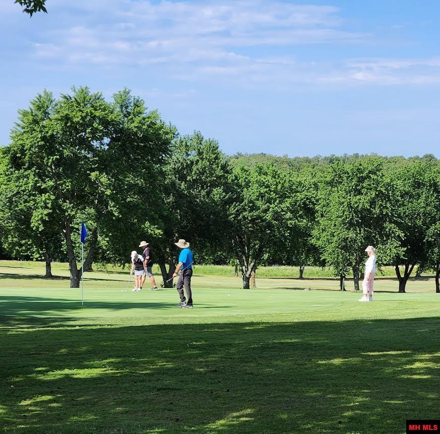 1704 EAGLE DRIVE Mountain Home, AR