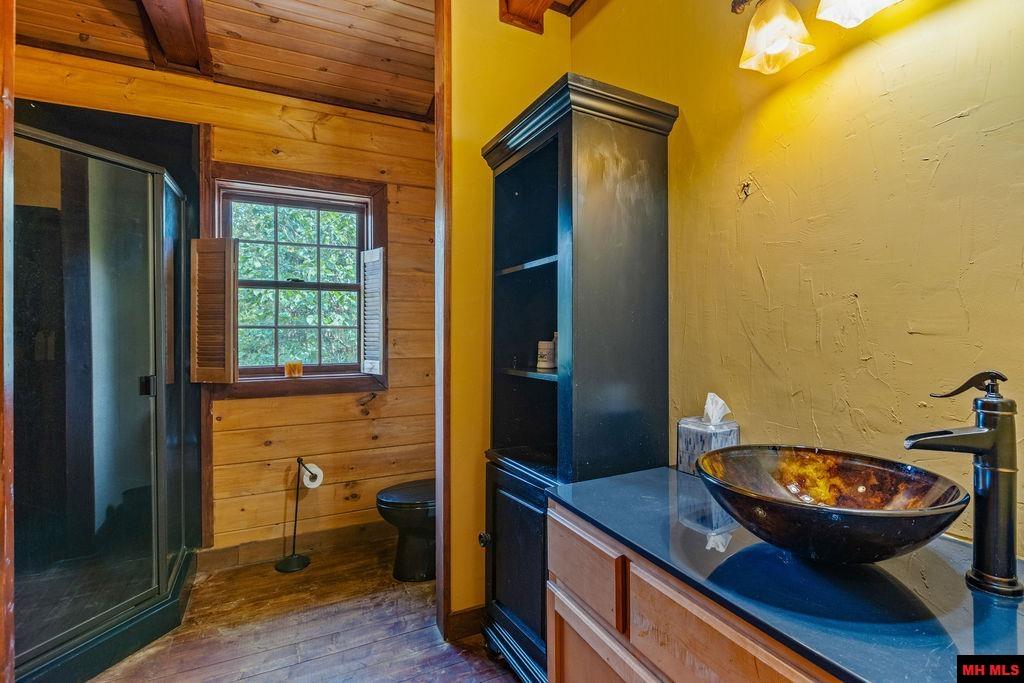 15 VICTORIA LANE Gamaliel, AR