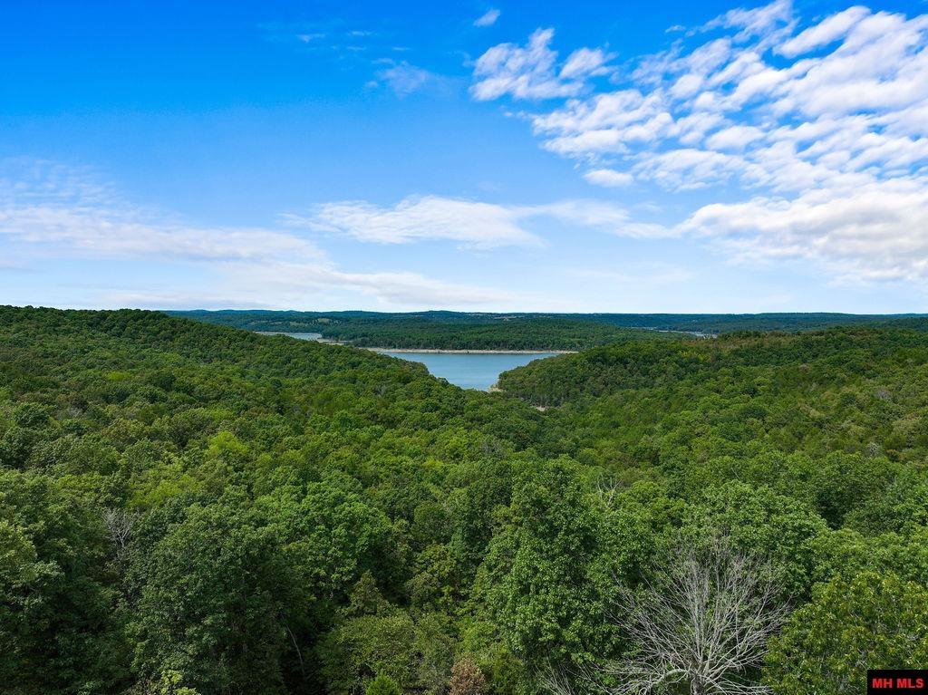 15 VICTORIA LANE Gamaliel, AR