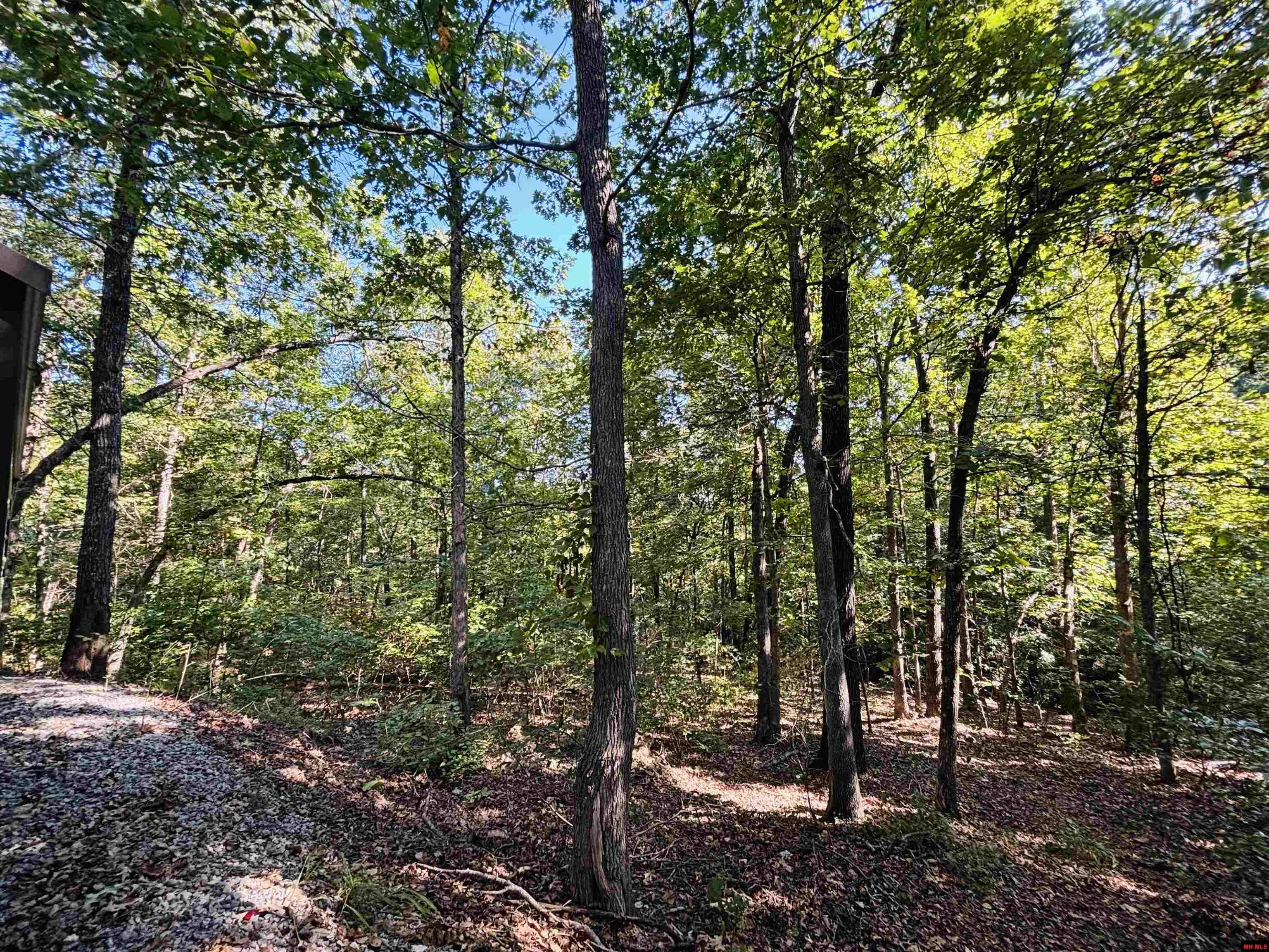 2602 MC 8050 Yellville, AR
