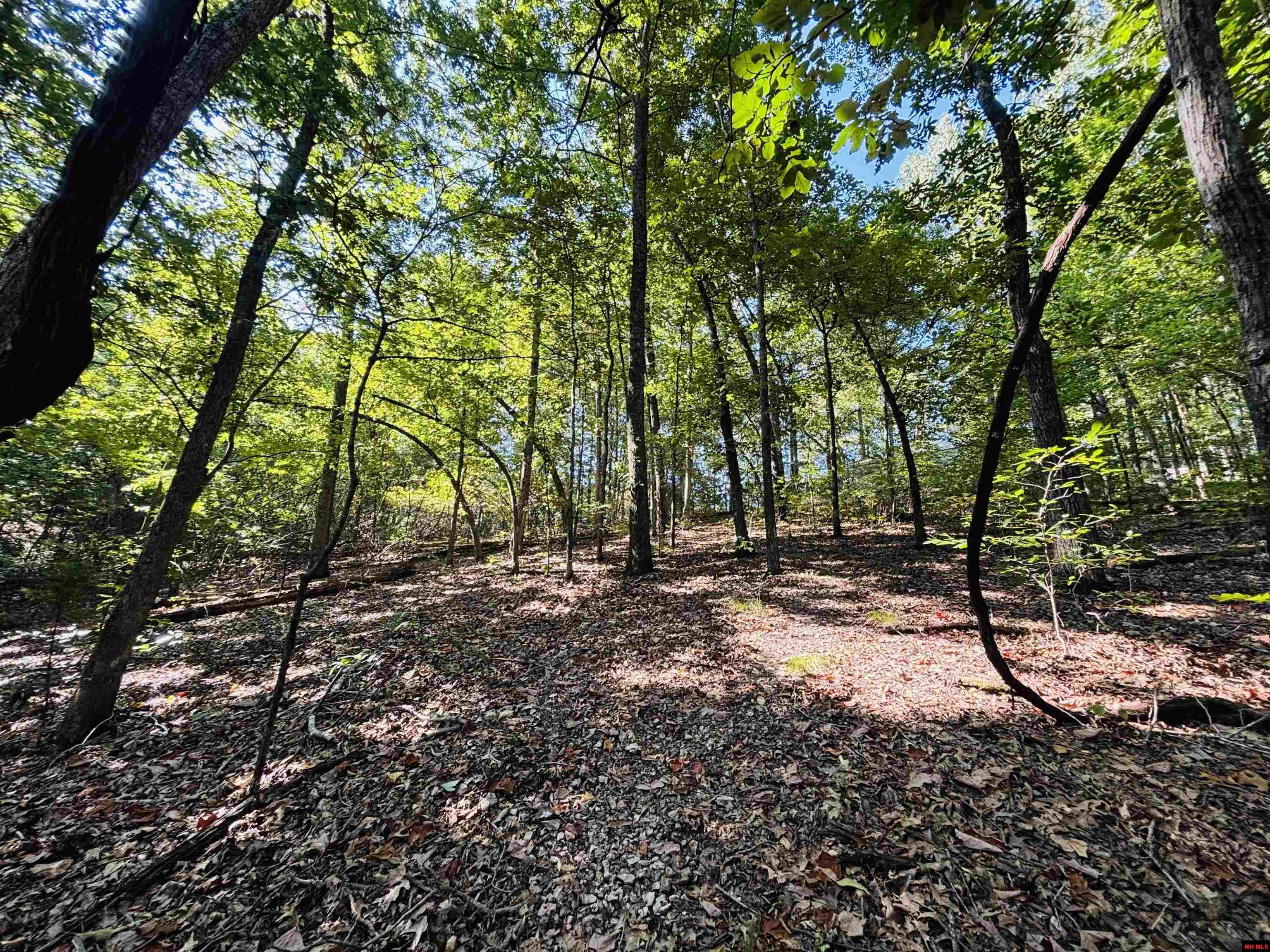 2602 MC 8050 Yellville, AR