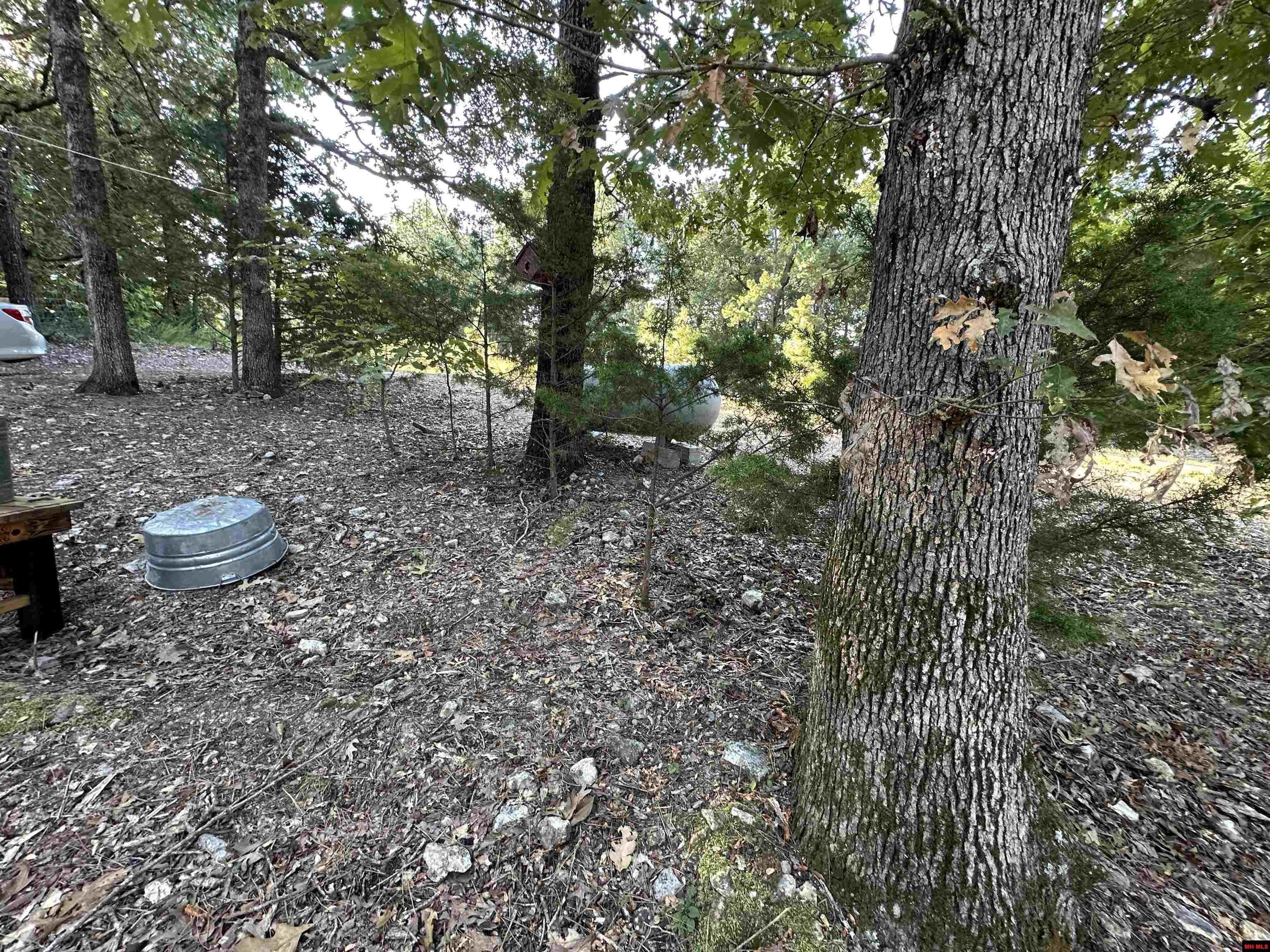 2662 MC 8050 Yellville, AR